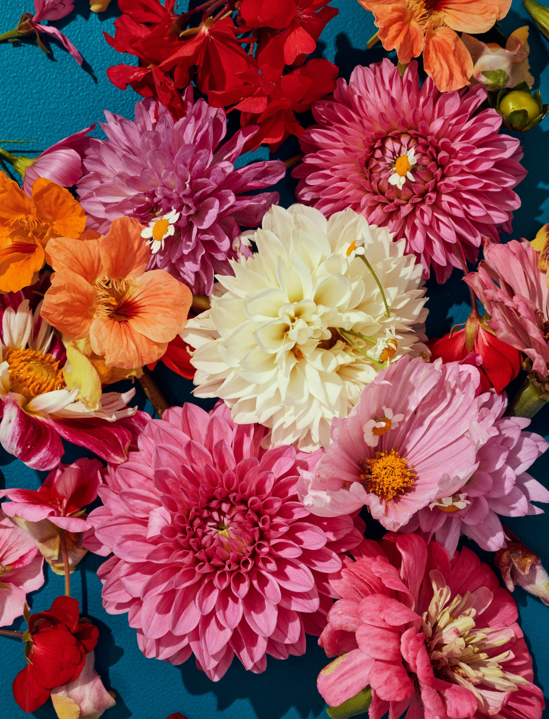 3_Layer Cakes_Flowers_031.jpg