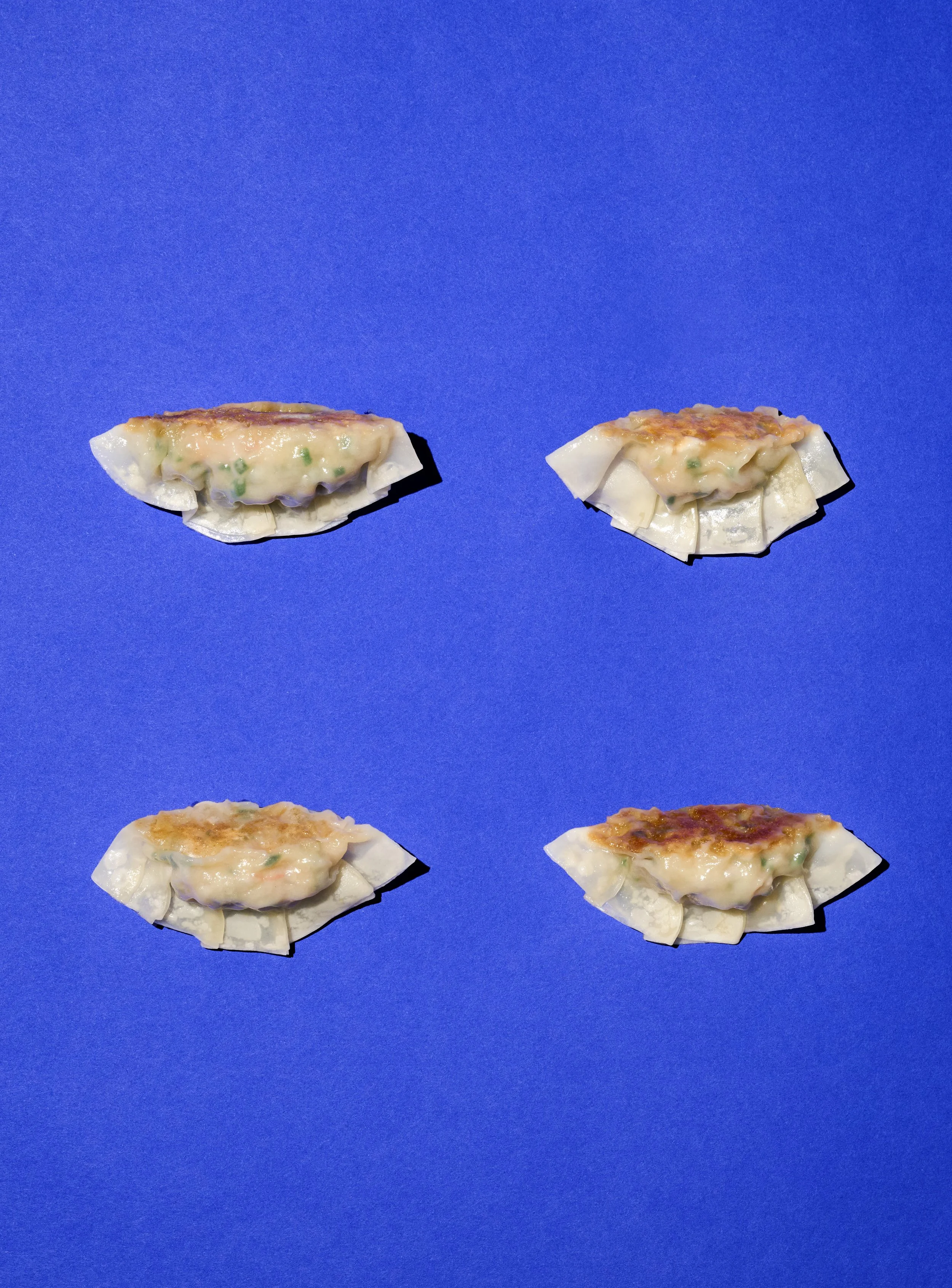 Ramen_Step-by-Step Recipes_Gyoza_20.jpg