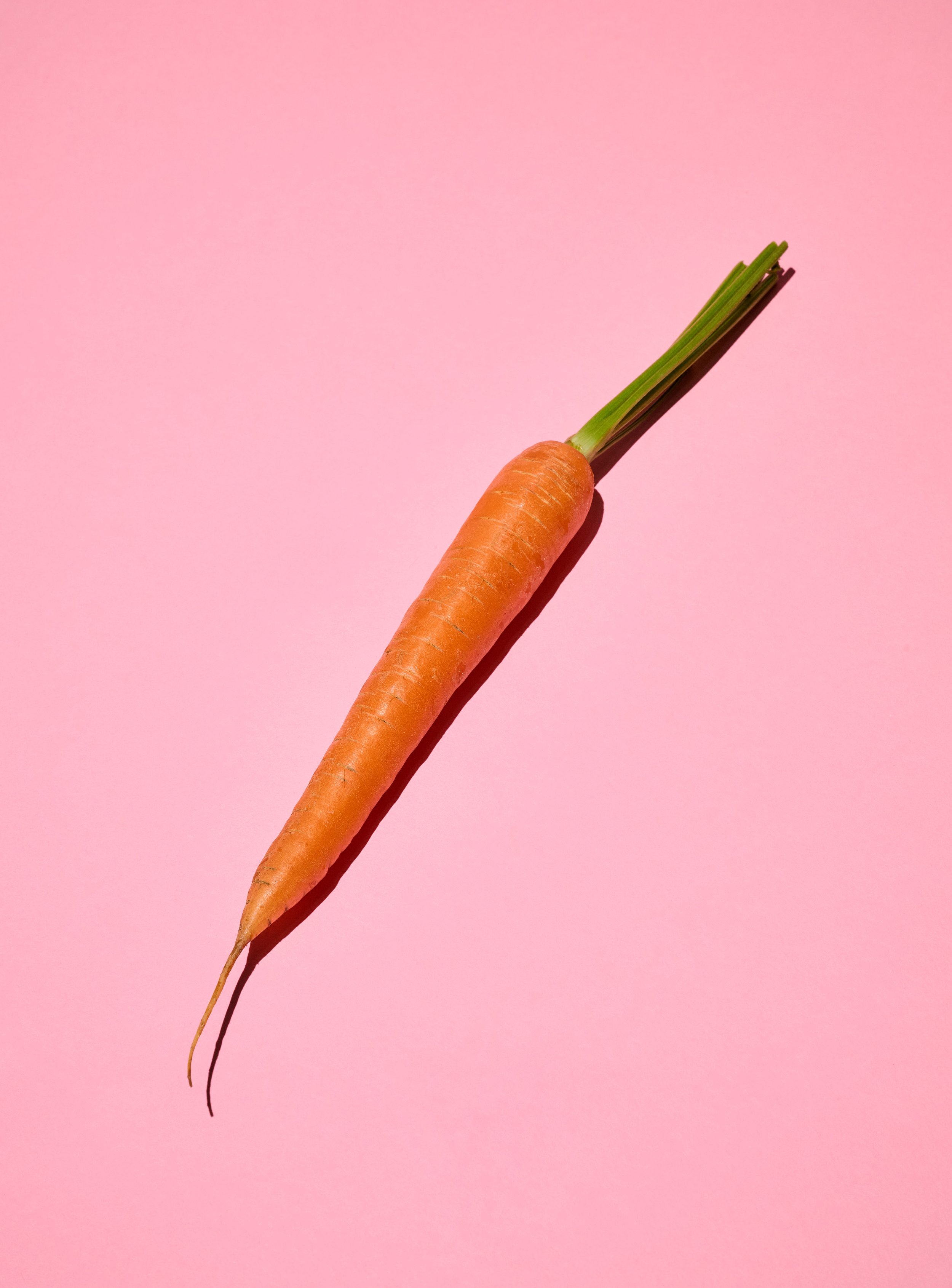 Ramen_Basic Recipes - Single Ingredients_NARUTOMAKI MACRO_06.jpg