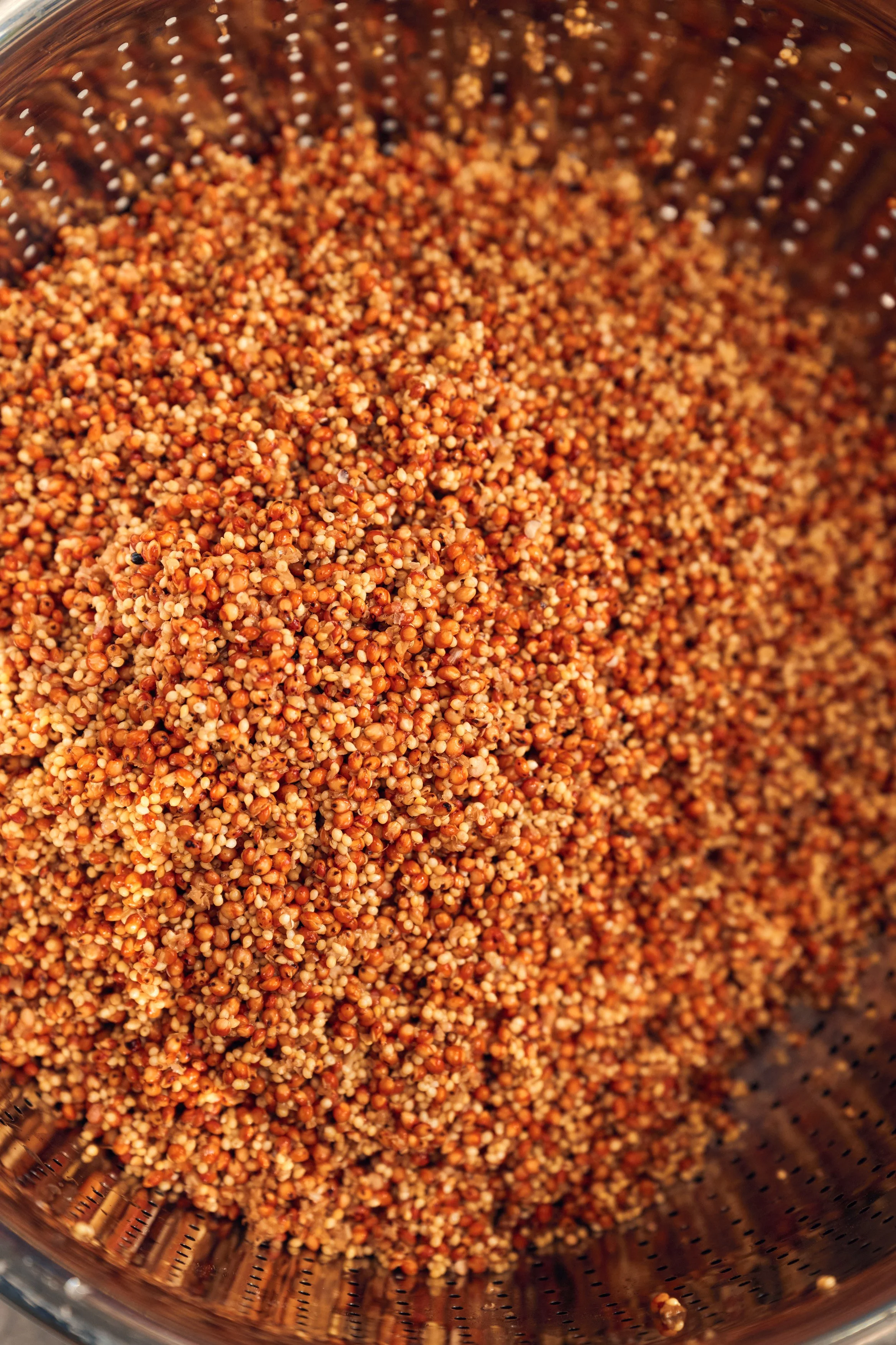 Mushroomery_Spawn Cultivation_Step 3_144.jpg