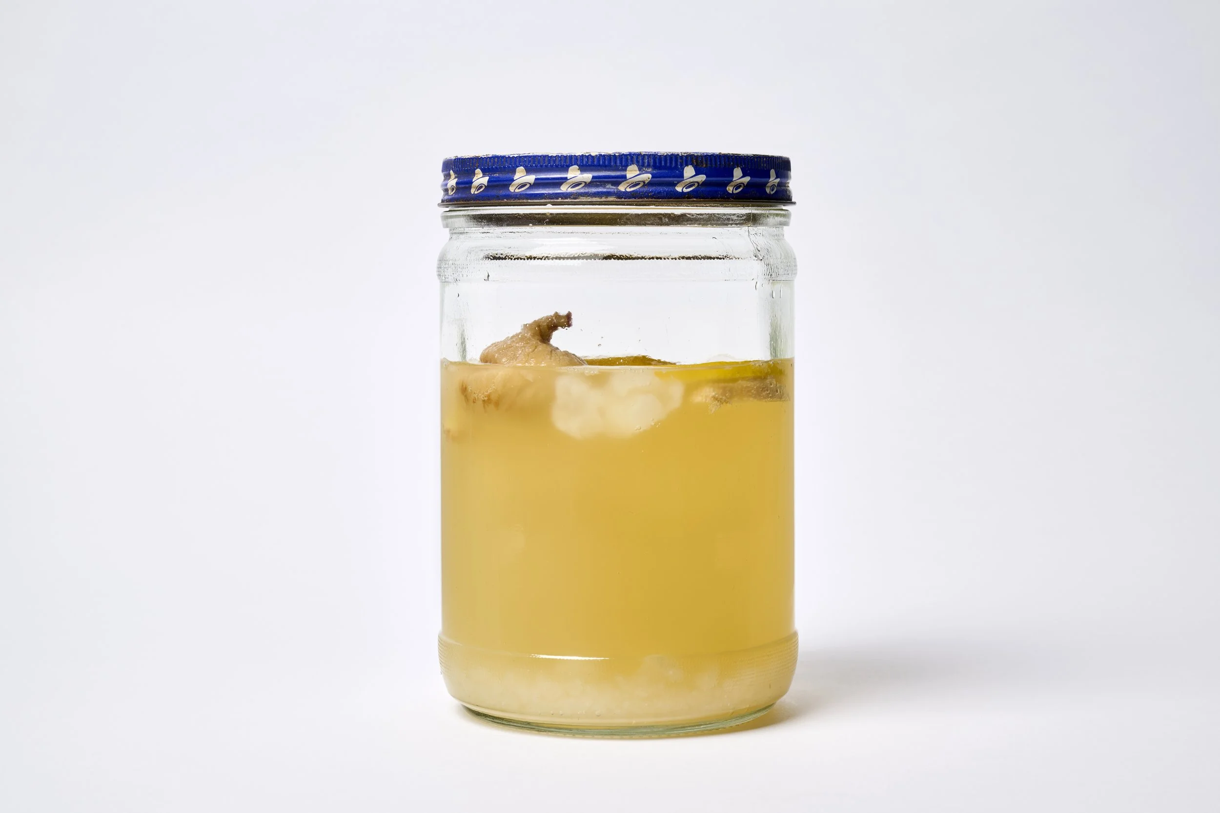 TFD_Water Kefir.jpg