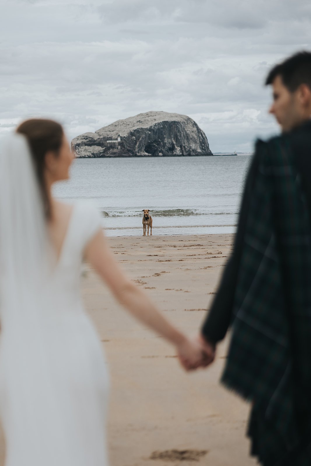Eilidh & George Preview-43.jpg