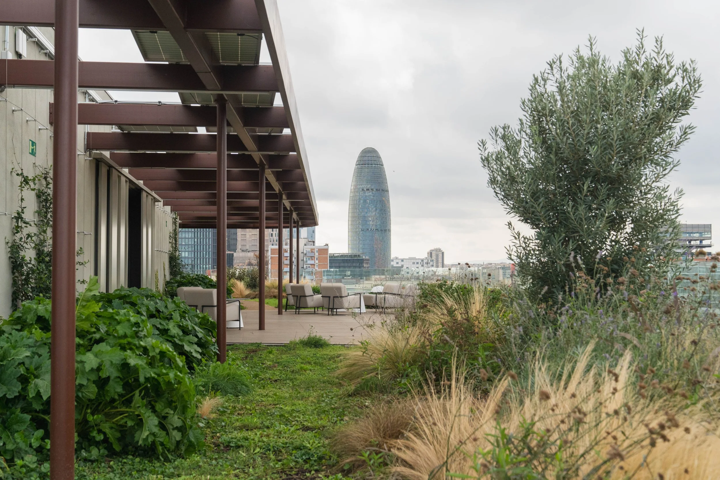 VIVERS TER 1612024.jpg