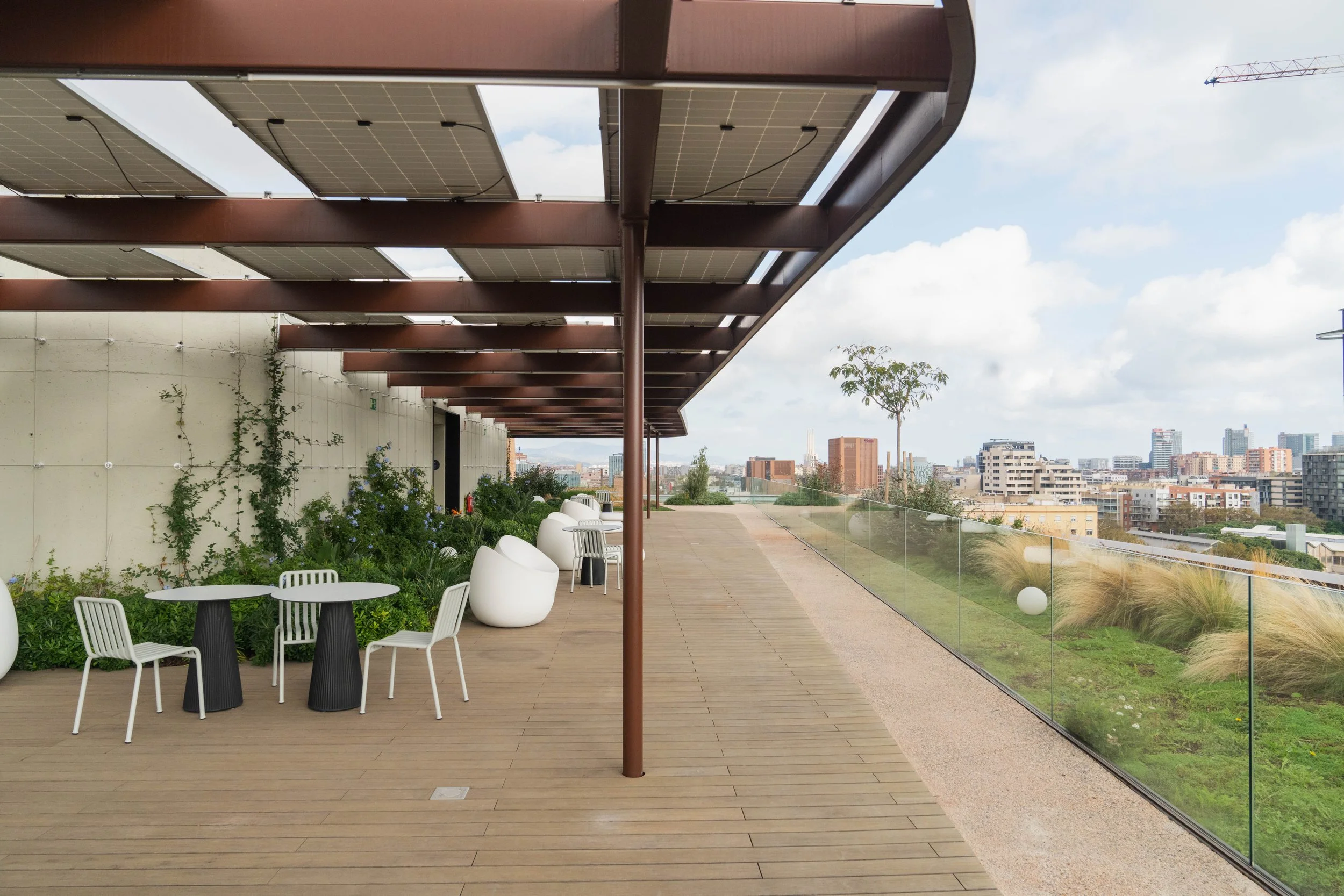 VIVERS TER 1492024.jpg