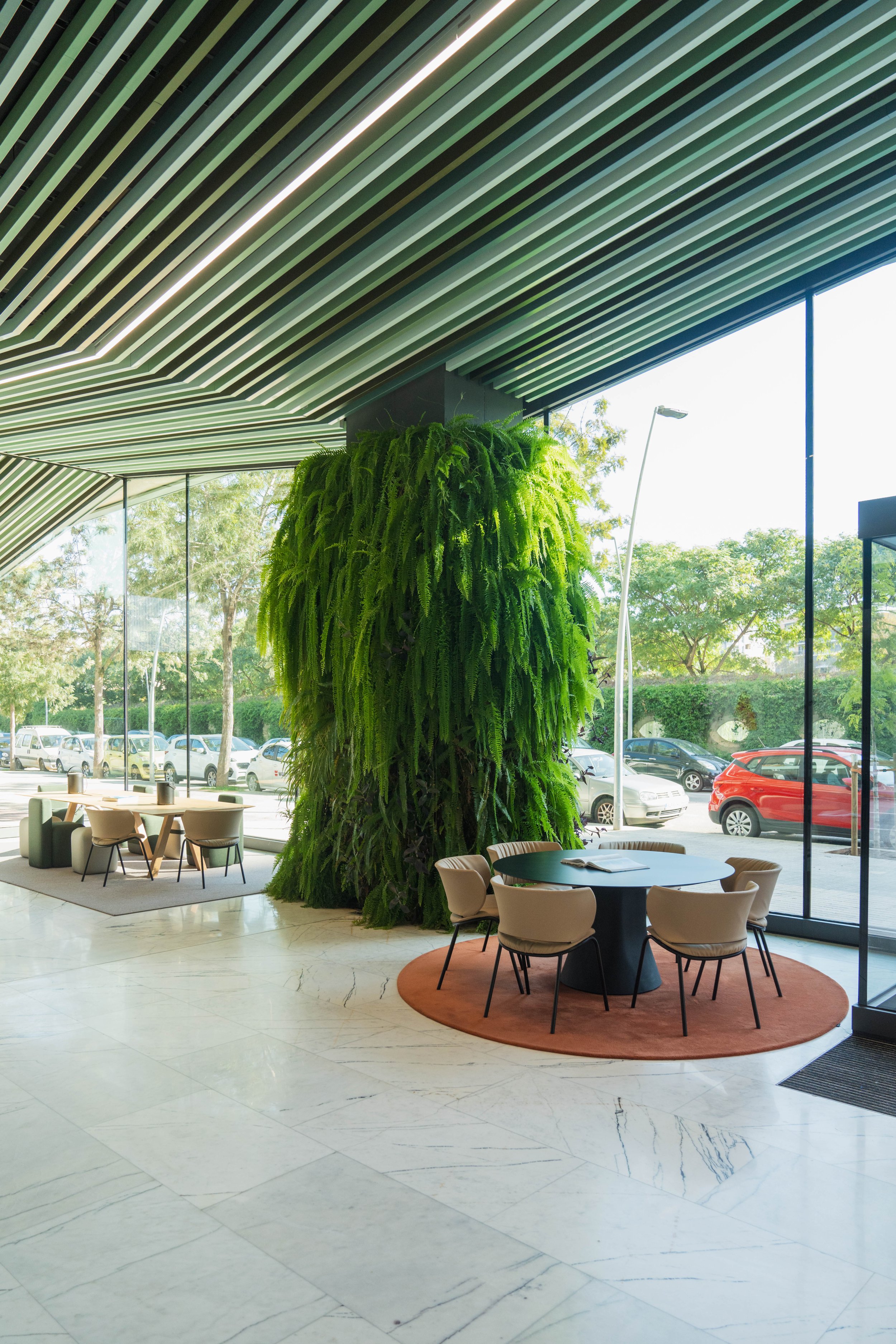 VIVERS TER 722024.jpg