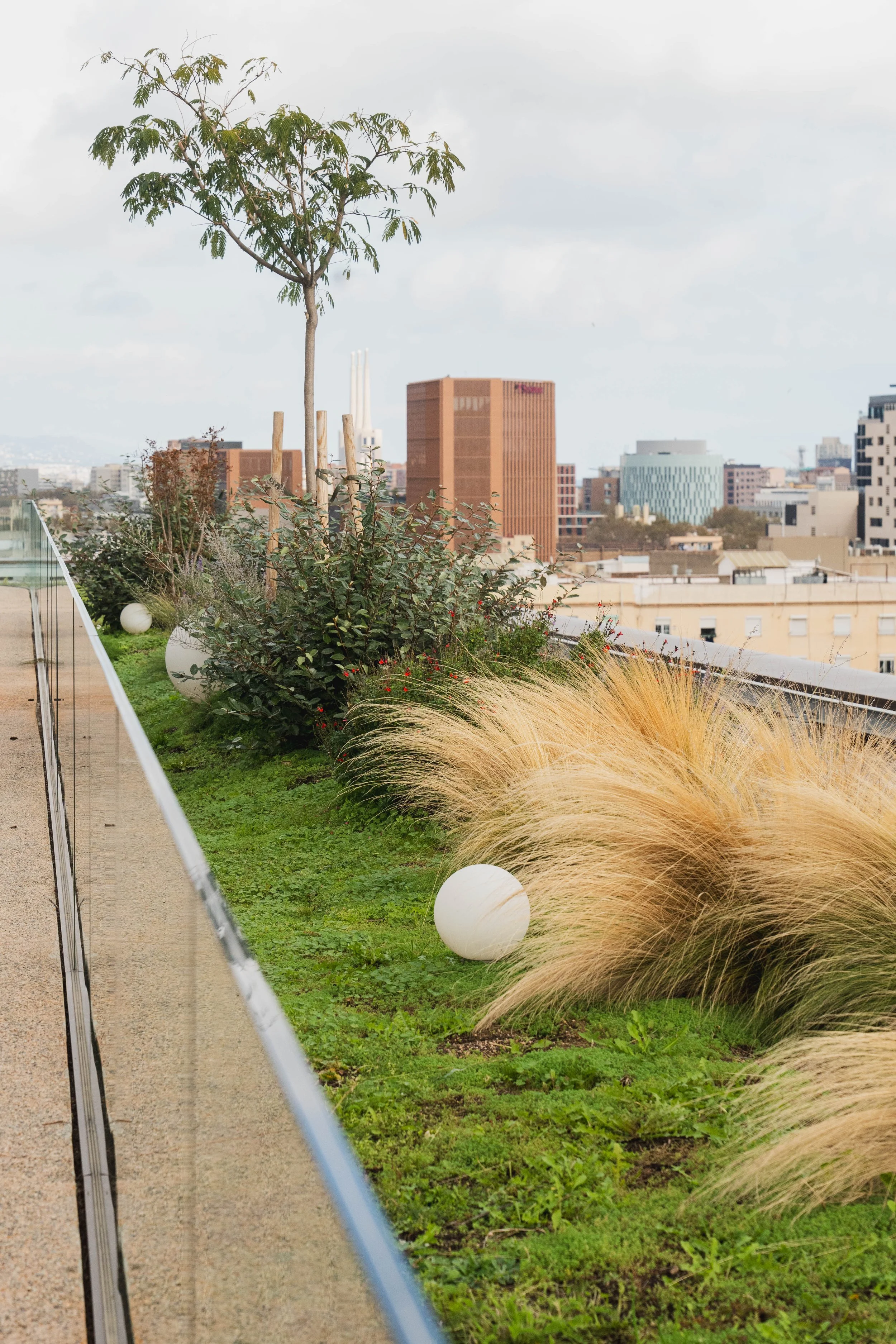 VIVERS TER 1502024.jpg