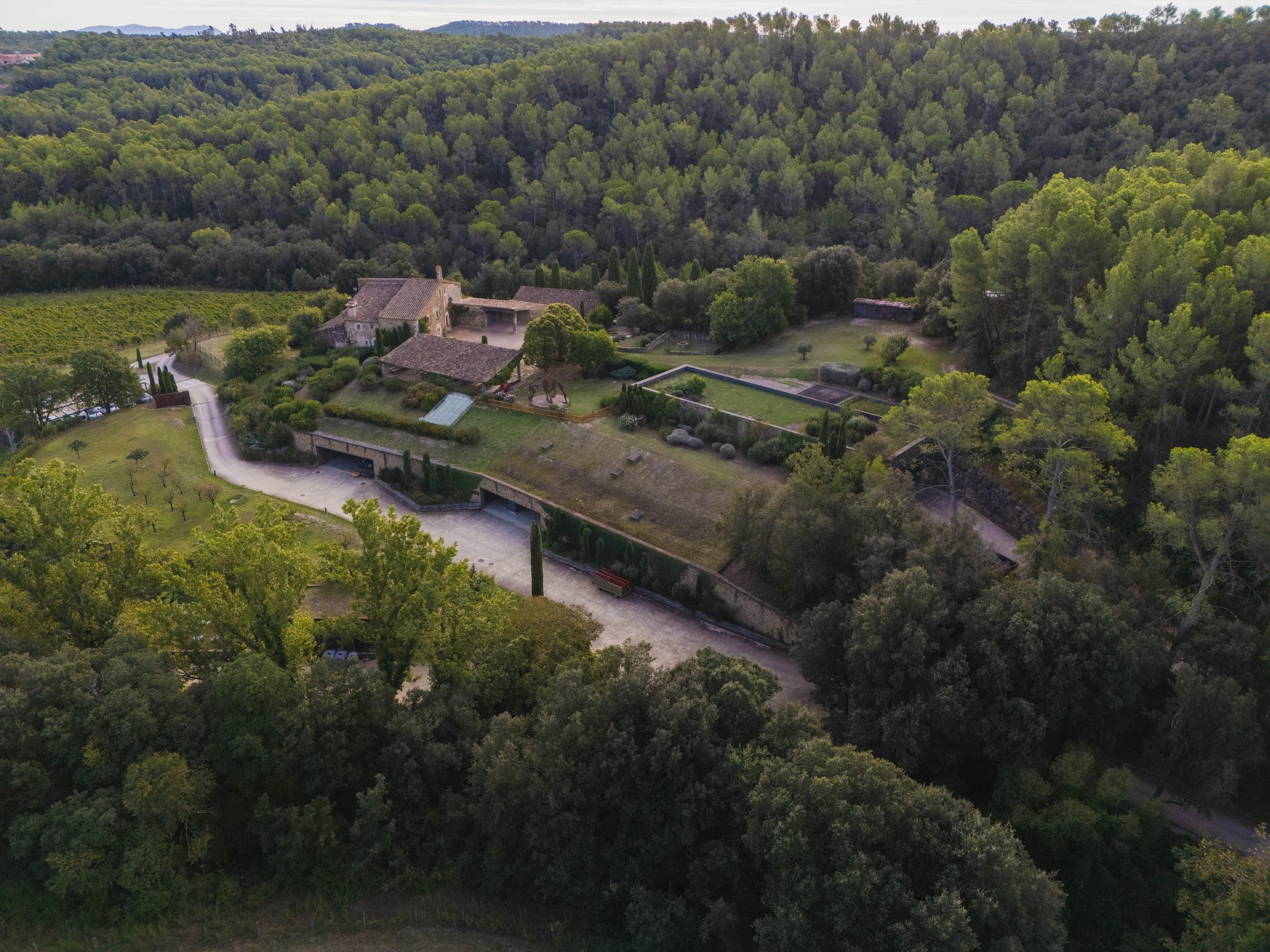 GIRONAFLY ECOCCIWINE 20245.jpg