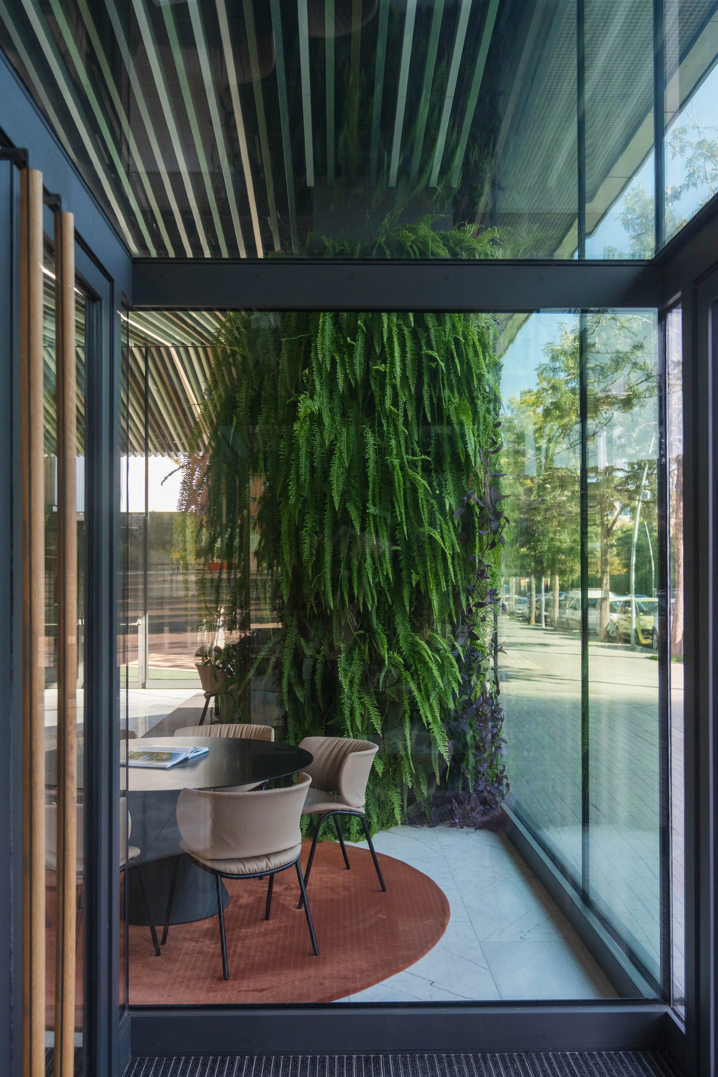 VIVERS TER 892024.jpg