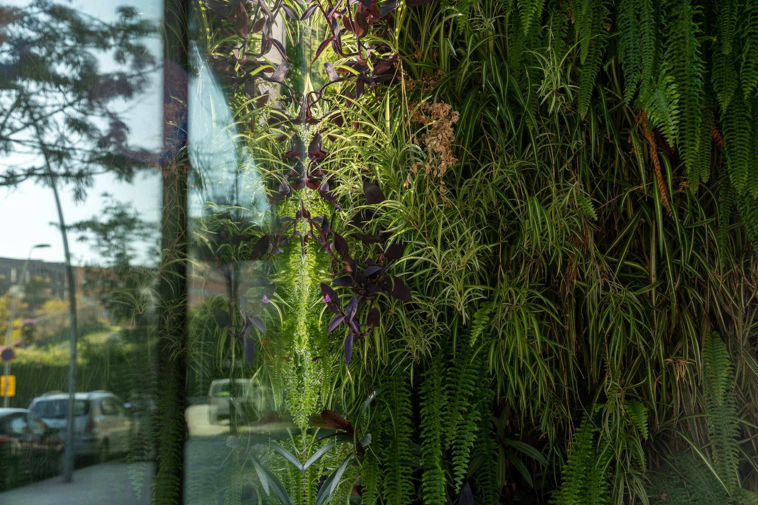 VIVERS TER 782024.jpg