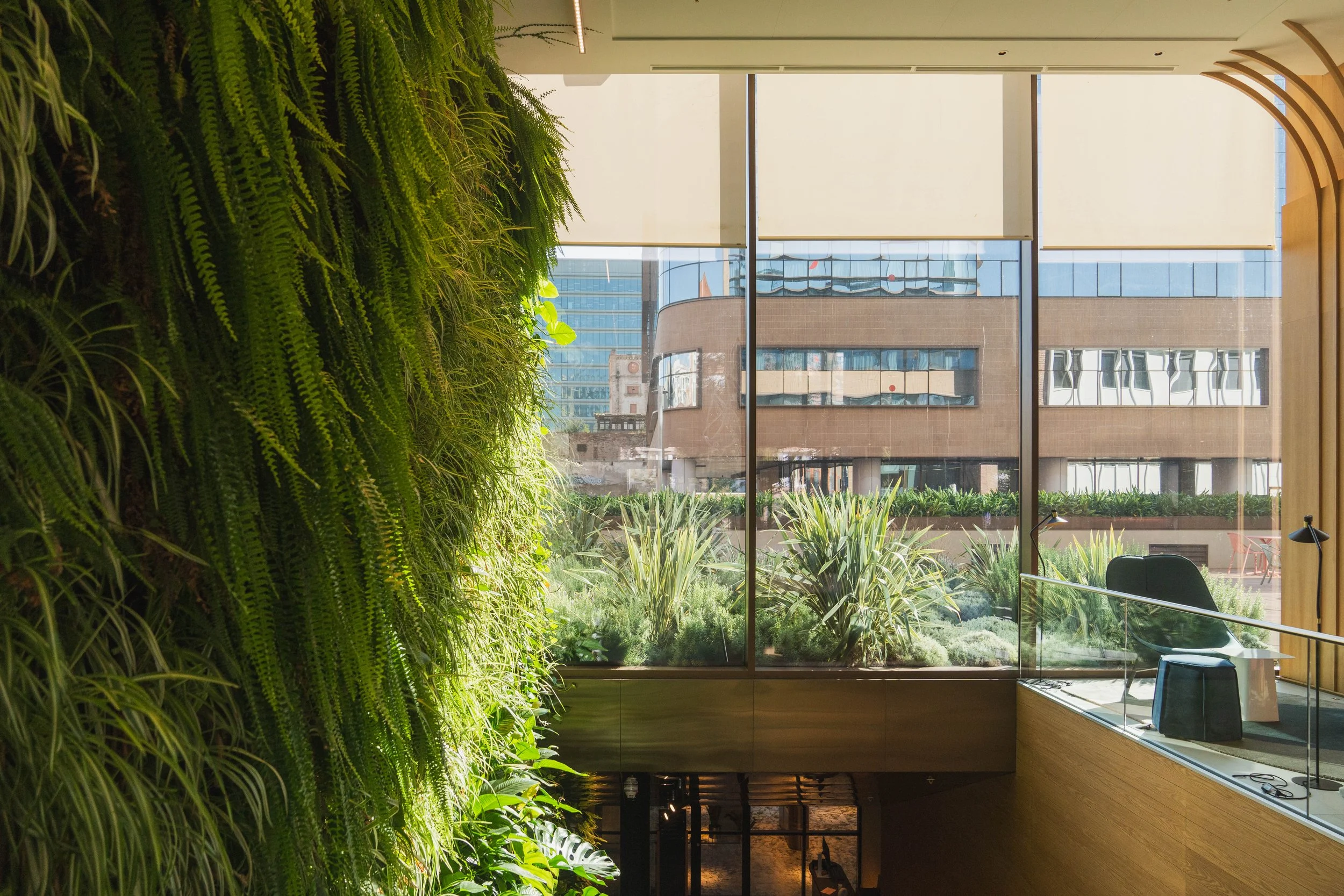 VIVERS TER 952024.jpg