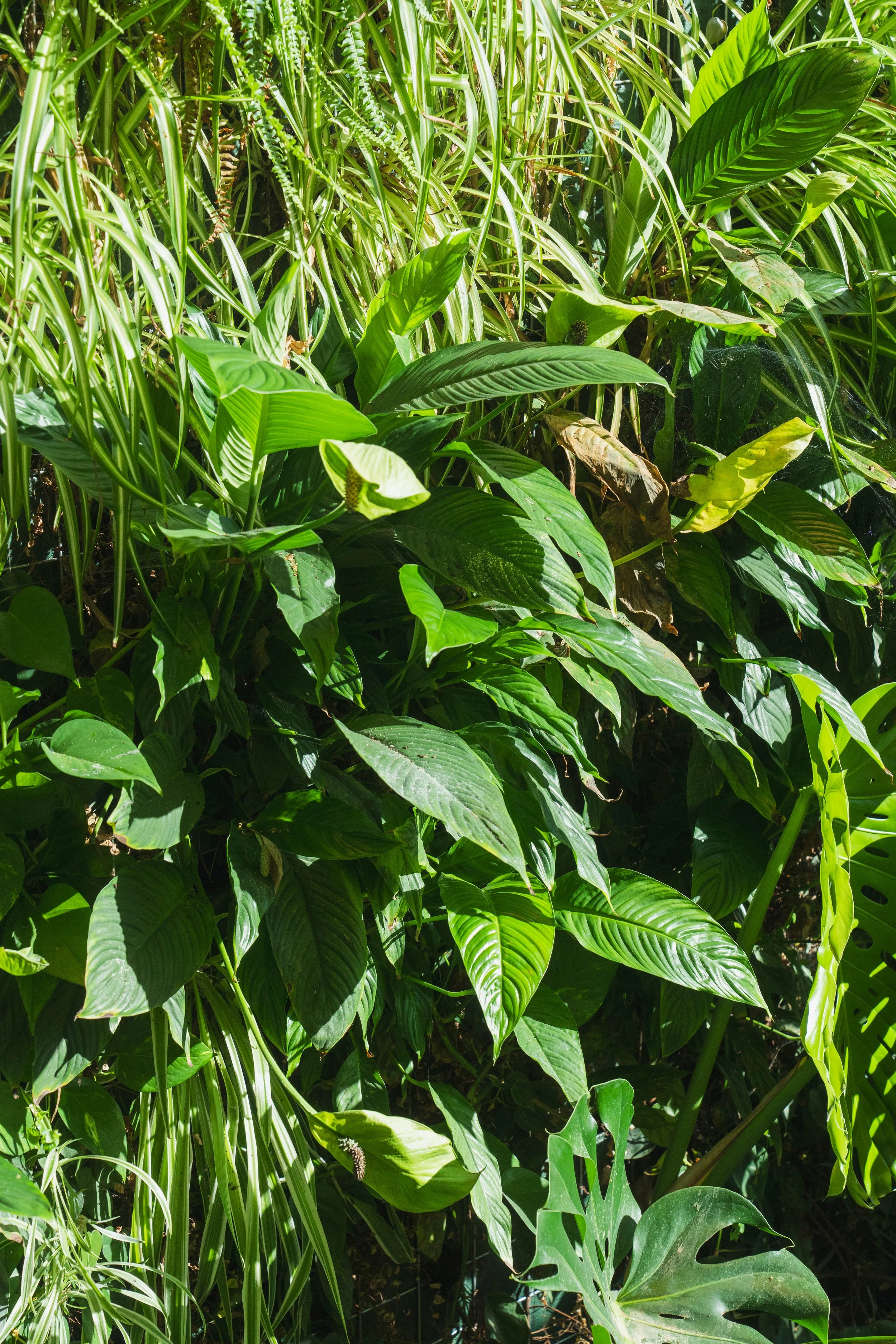 VIVERS TER 1002024.jpg