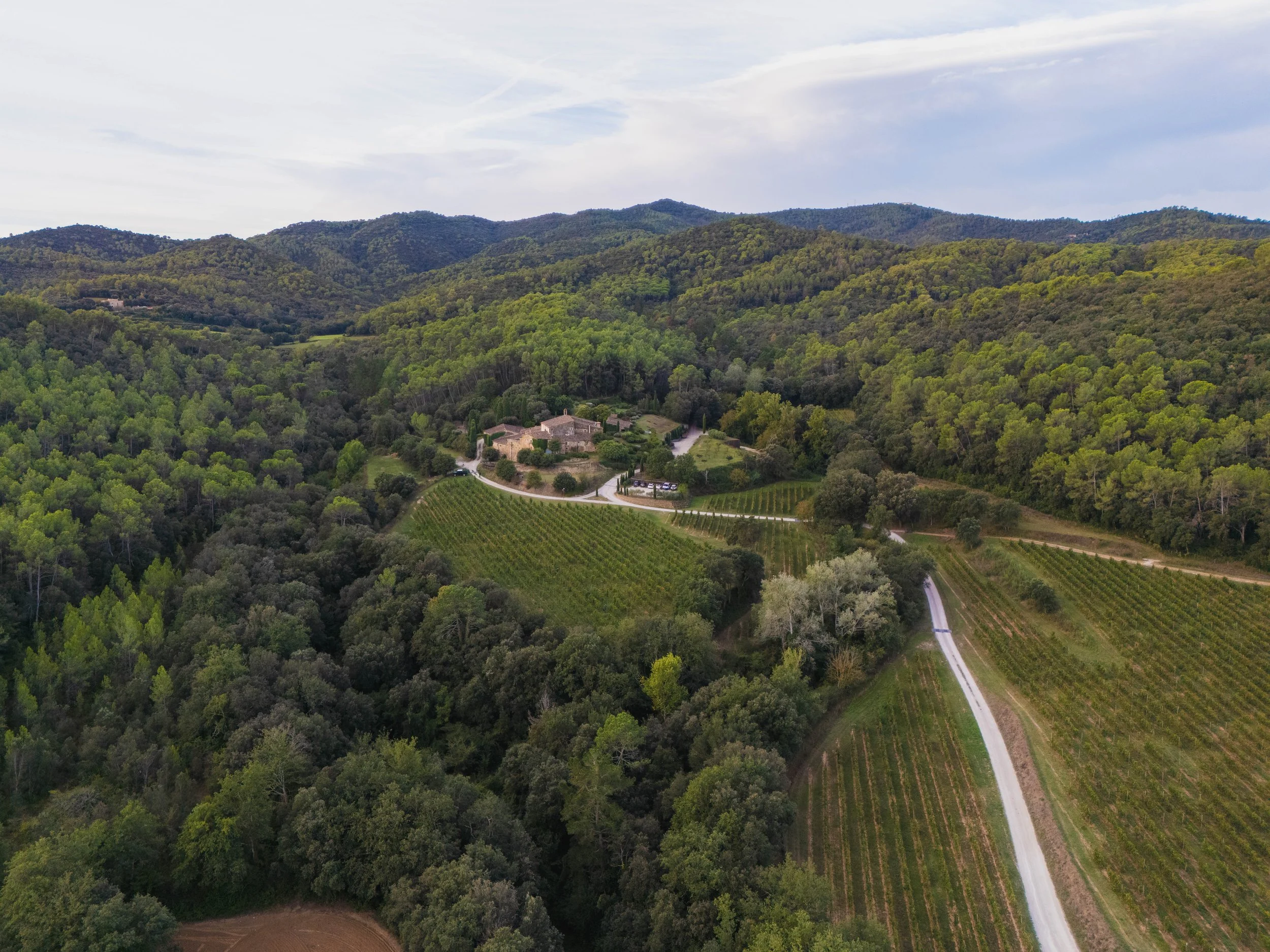 GIRONAFLY ECOCCIWINE 20241.jpg