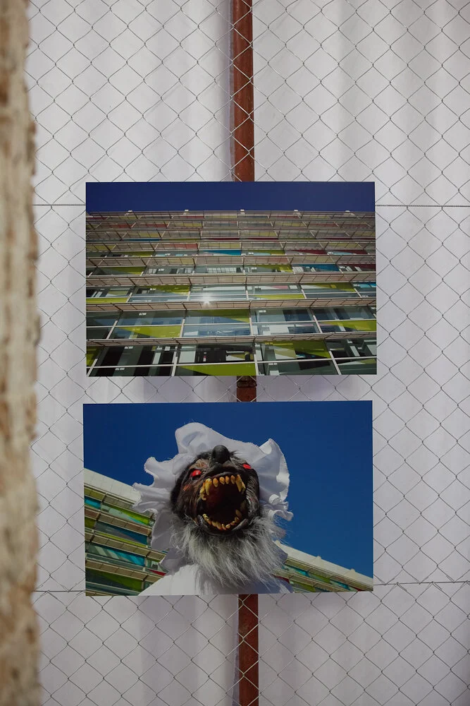 BCN Live Stream Zadar-4.jpg