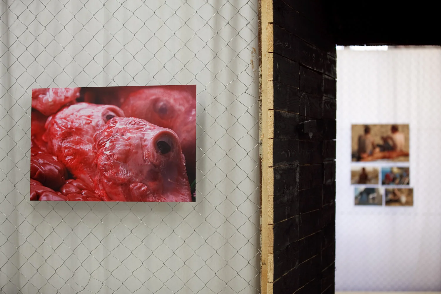 BCN Live Stream Zadar-16.jpg