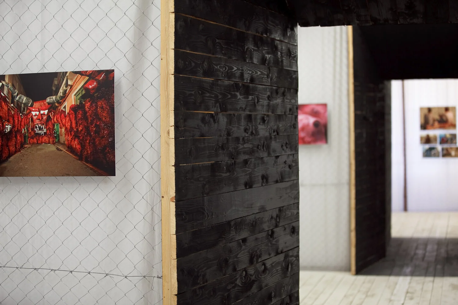 BCN Live Stream Zadar-25.jpg