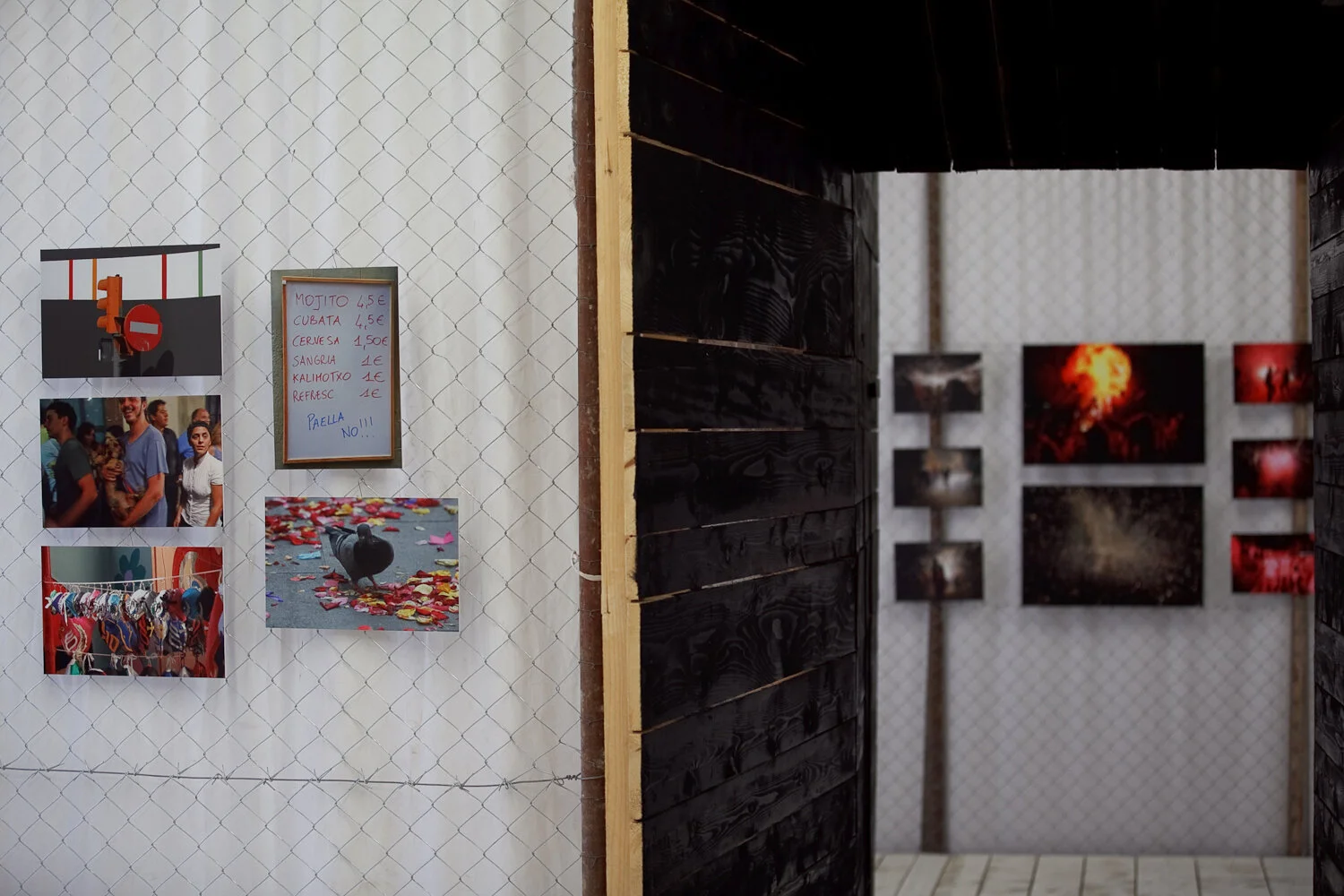 BCN Live Stream Zadar-19.jpg