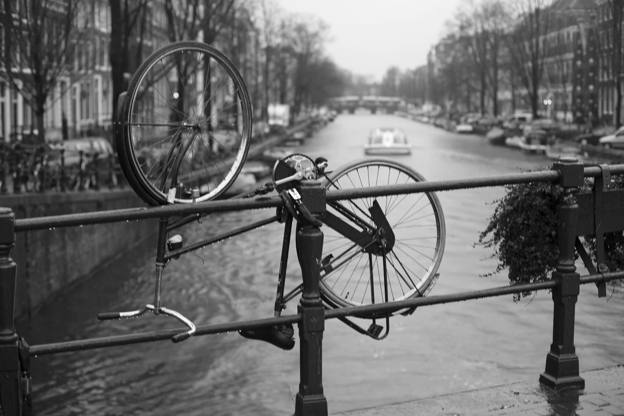 Ansterdam-city-life-5.jpg