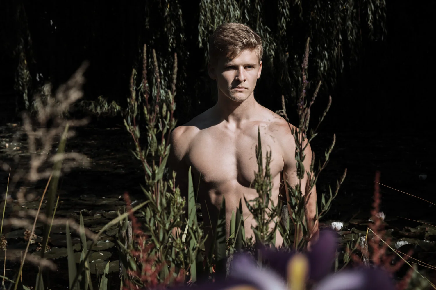 leo-huss-flaretalents-water-lilies-garden-1.jpg