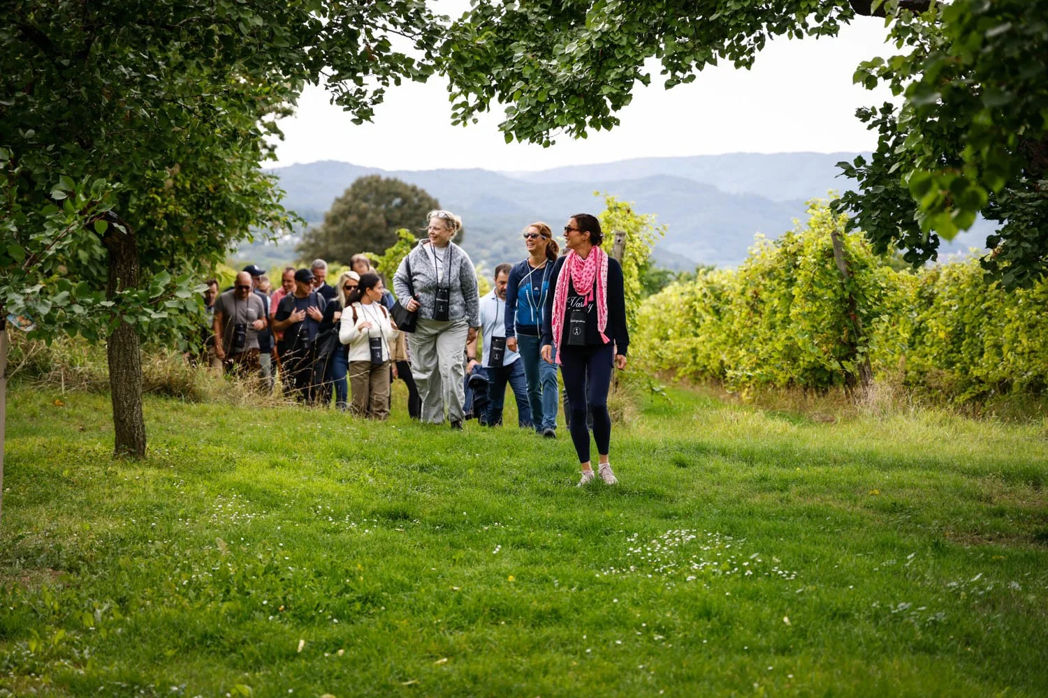 Eventfotografie – Teilnehmende Gruppe bei Wanderung