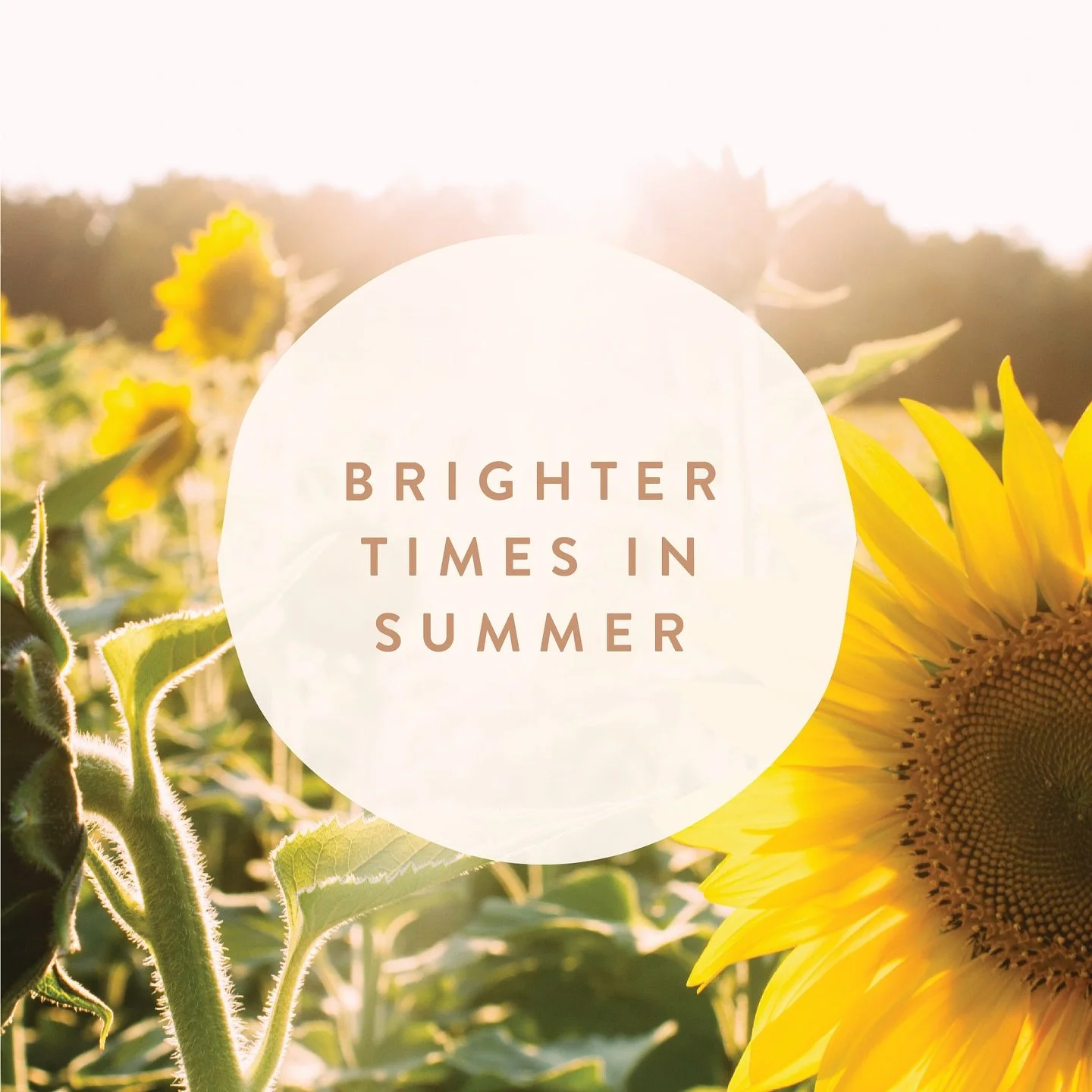 SUMMER in BRIGHT ☀️ 🌻 

There&rsquo;s swimming and fishing, markets and cellar doors, mountain biking and breweries. 

Where warm sunny days turn into refreshingly cool nights, and wonderfully lethargic weekends disappear with picnics by the riversi