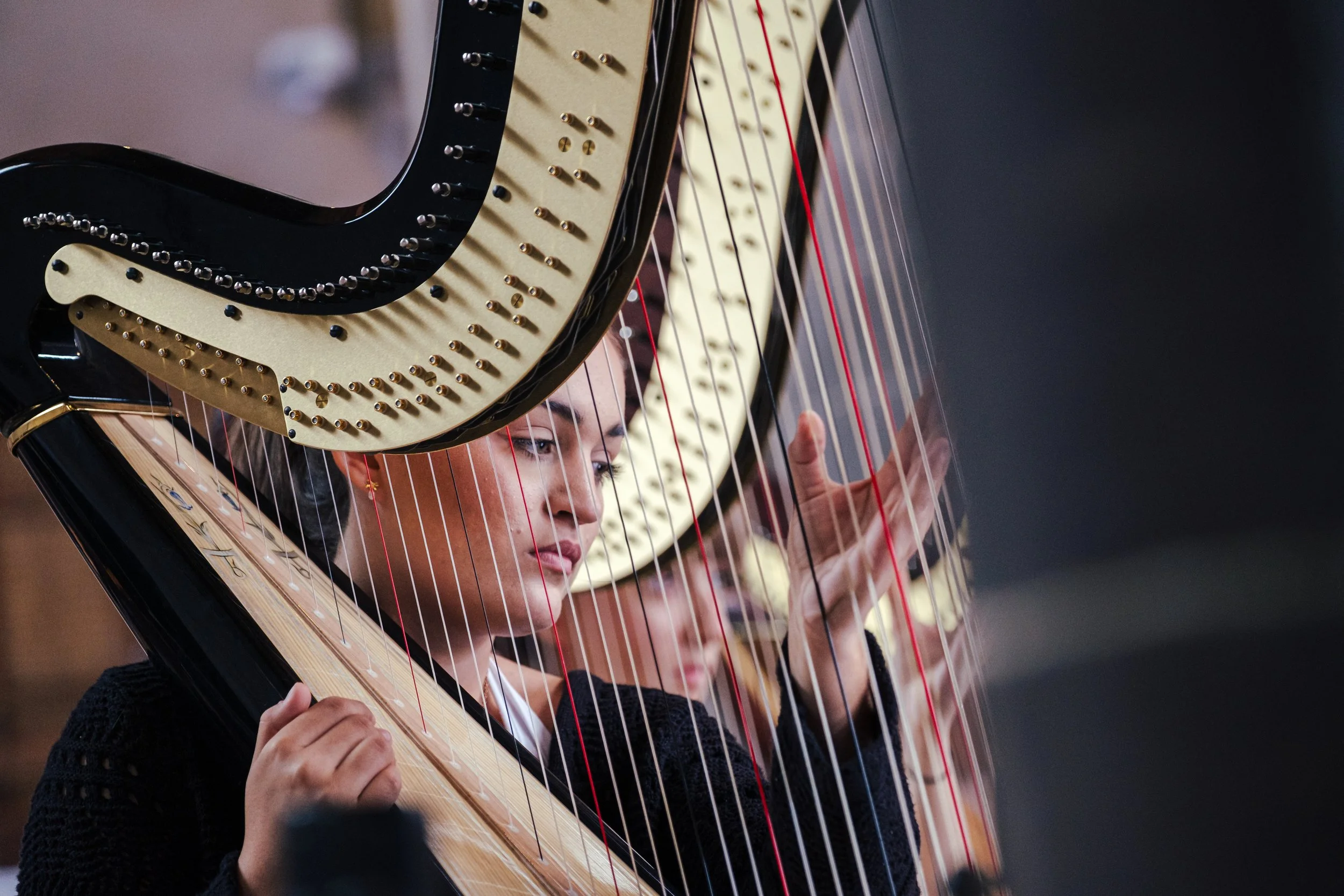 NYOW 2025 credit NYAW.jpg