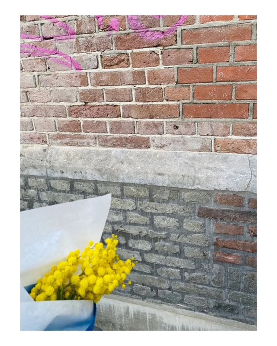 P O E M · the promise of seasons