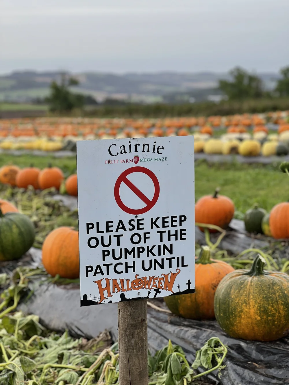 Cairnie Fruit Farm