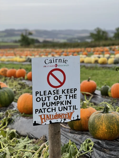 Cairnie Fruit Farm Pumpkins