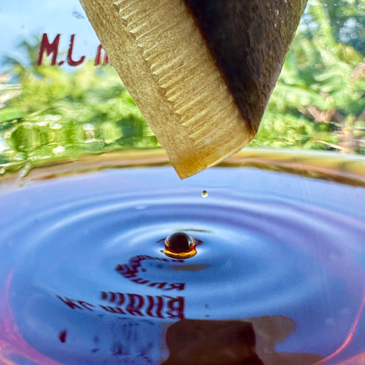 Le VRAI / FAUX du café