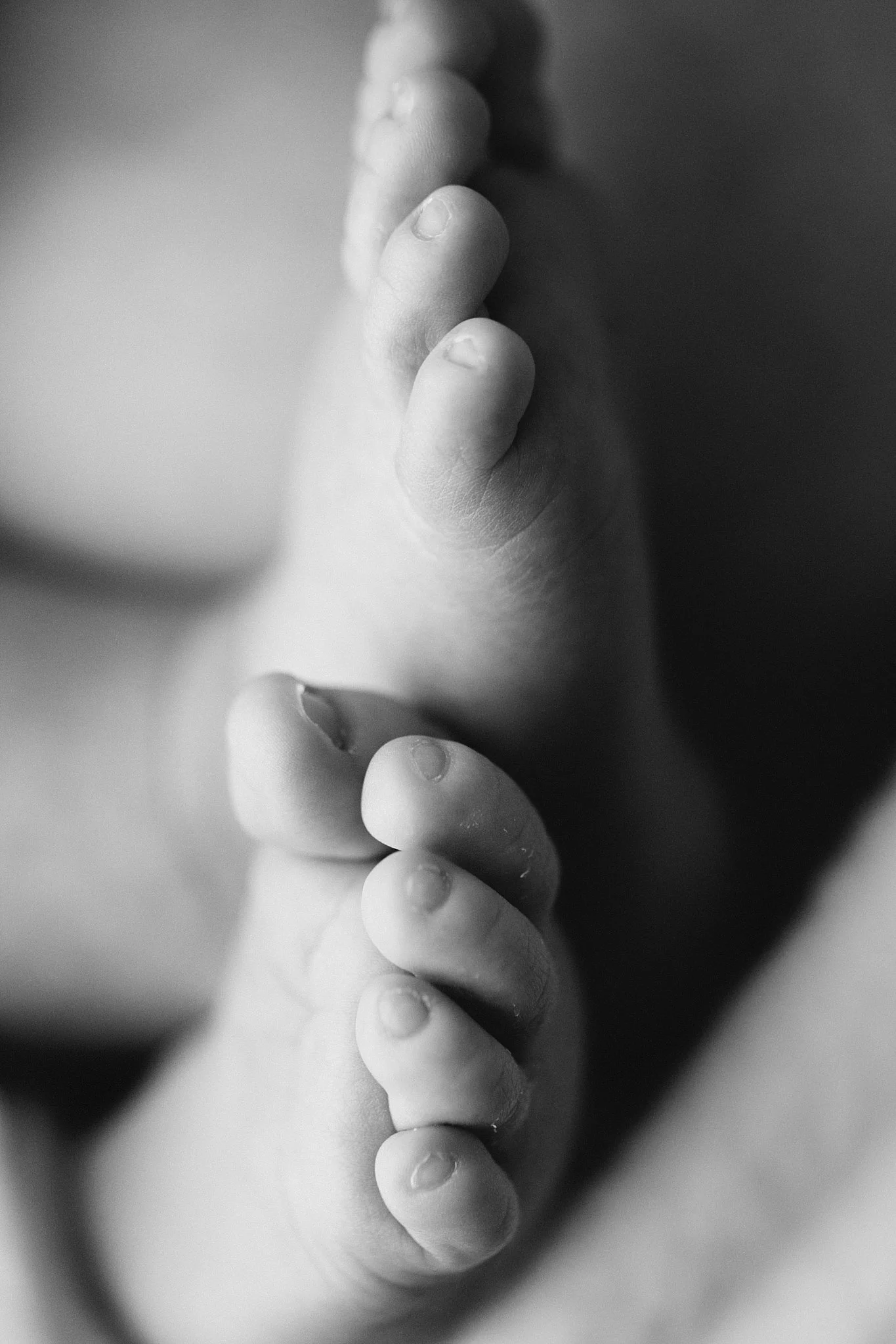 Point Cook Newborn Photographer-16.jpg