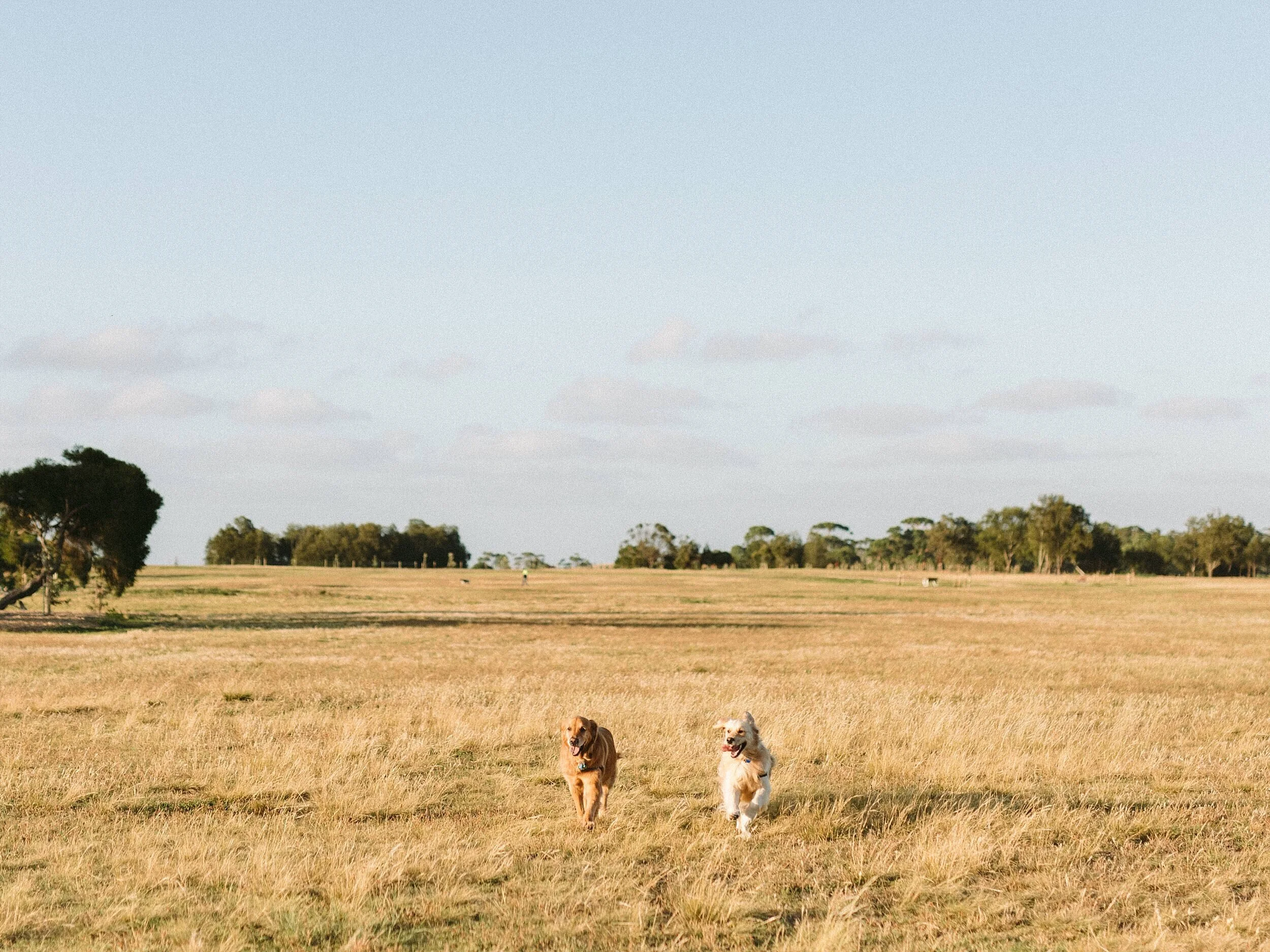 Melbourne Maternity Photographer 034.JPG