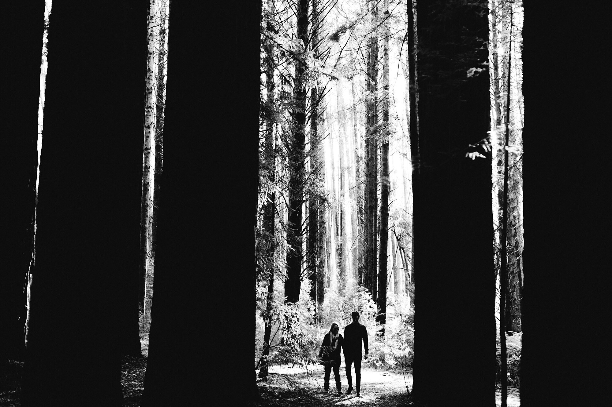 Warburton Redwood Forest Engagement Photographer_0836.jpg
