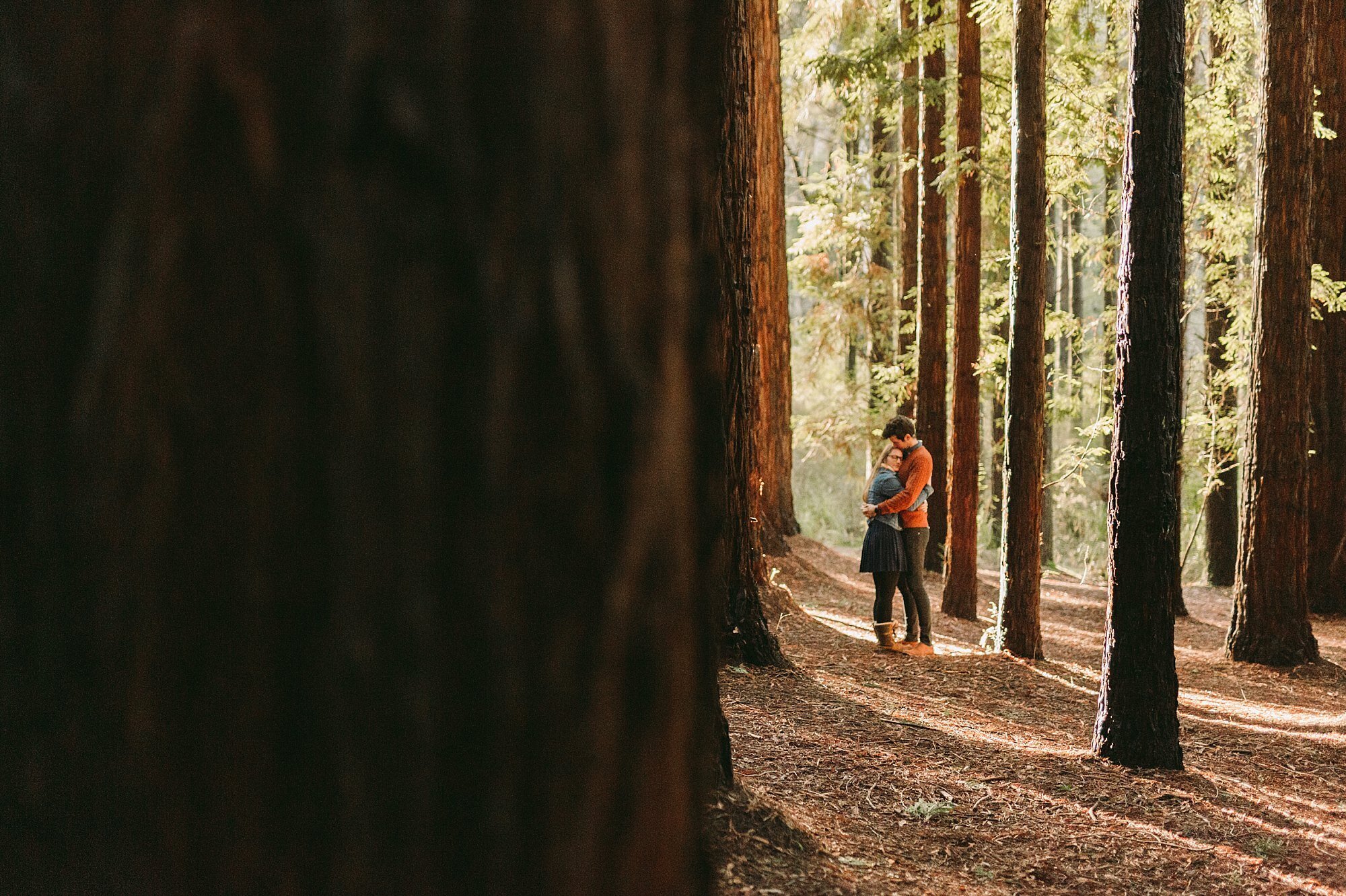 Warburton Redwood Forest Engagement Photographer_0841.jpg