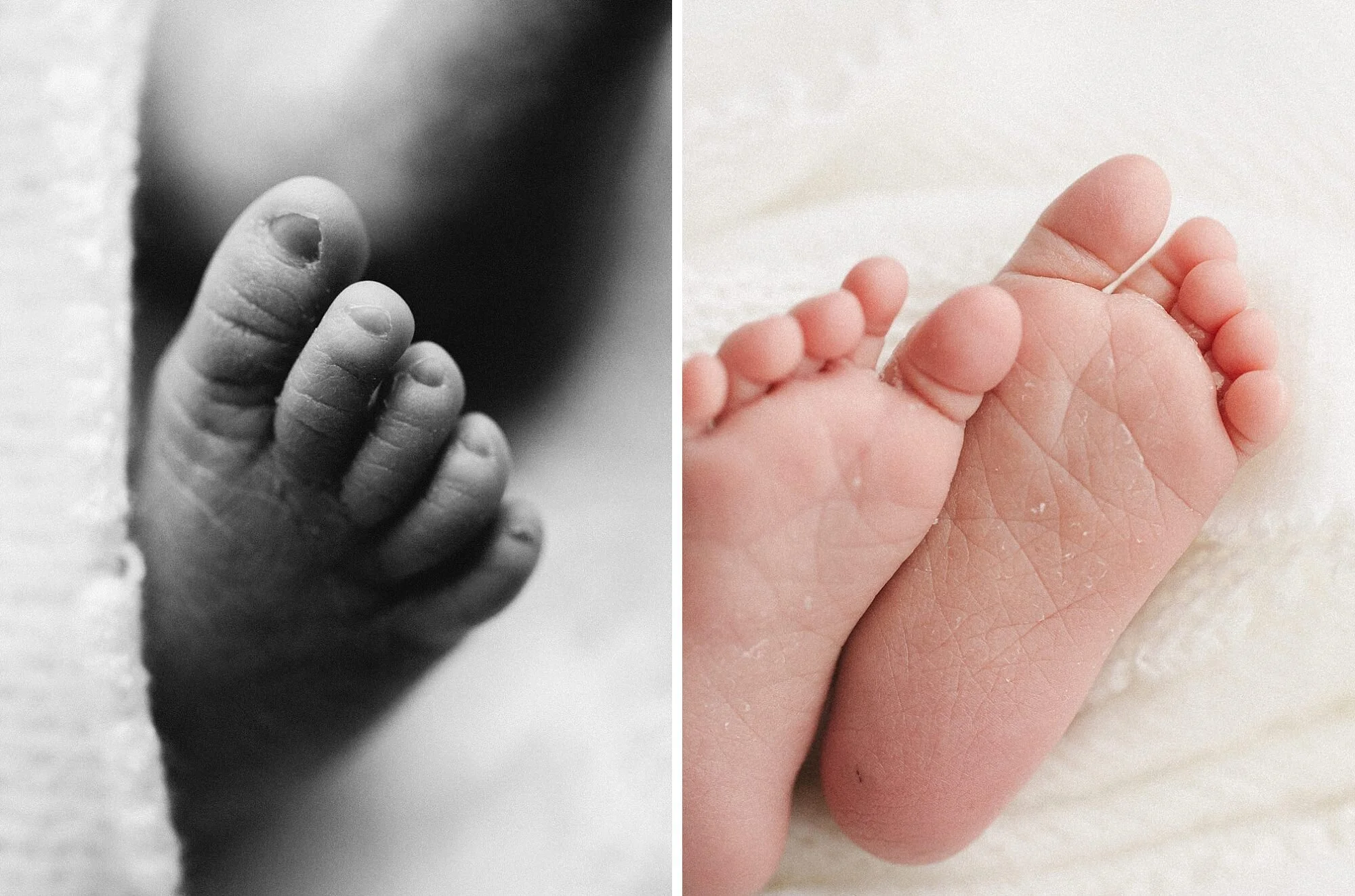 melbourne point cook newborn photographer 6-03-2019 002.JPG