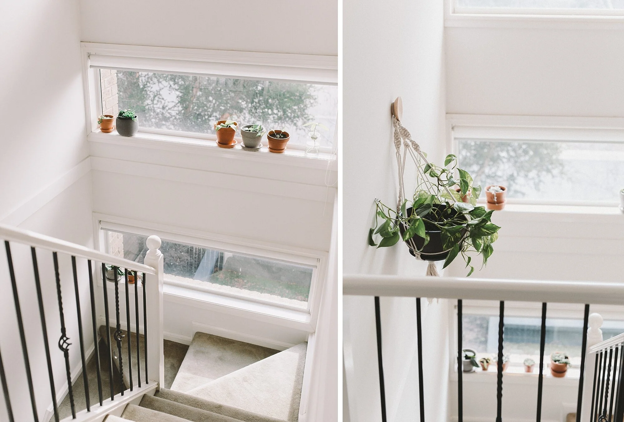  The plants have all moved around in this room so much as the seasons shifted and the sun kept moving.. 