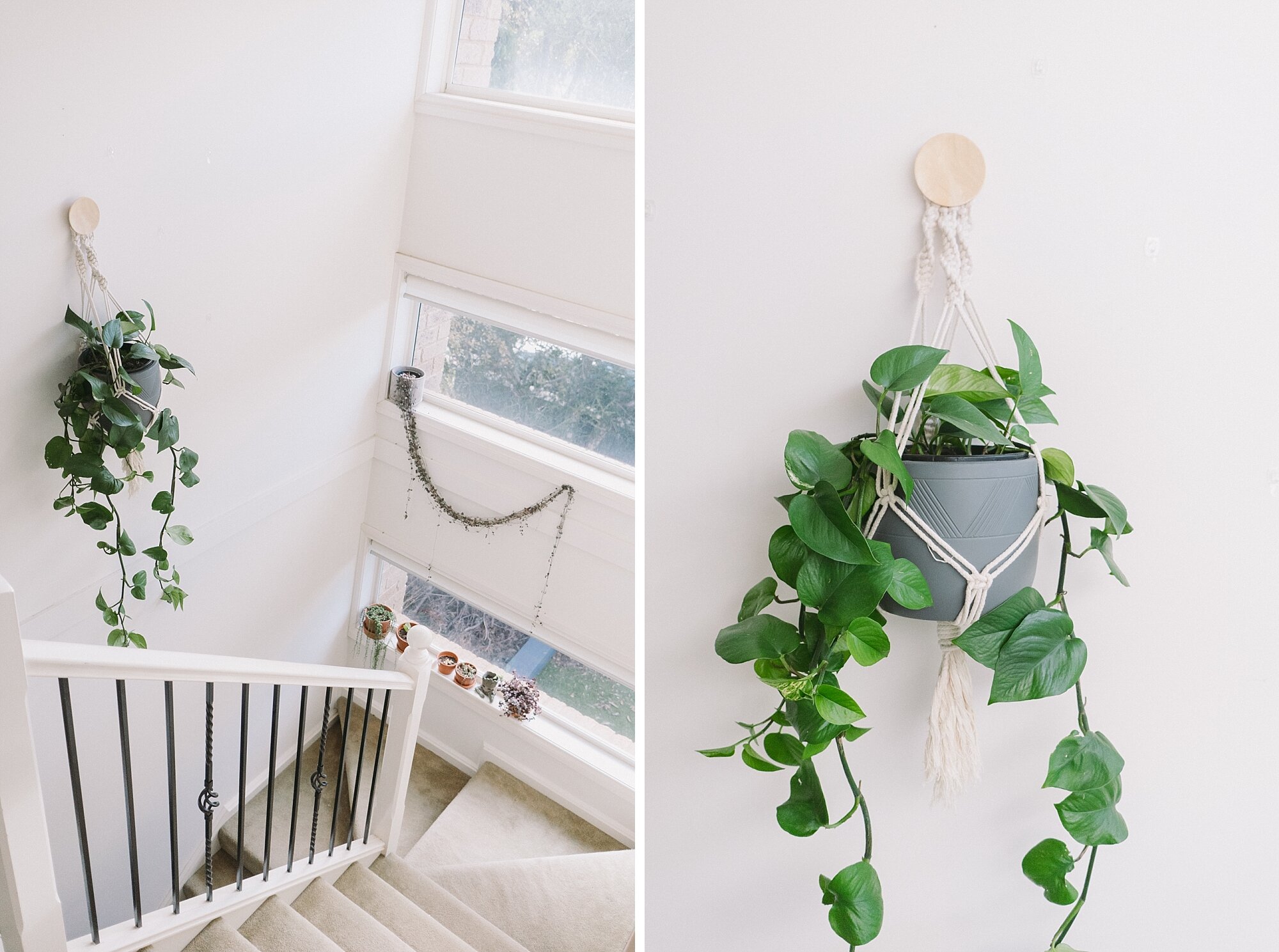  The new plant hanging in the staircase (a Jade Ivy). 