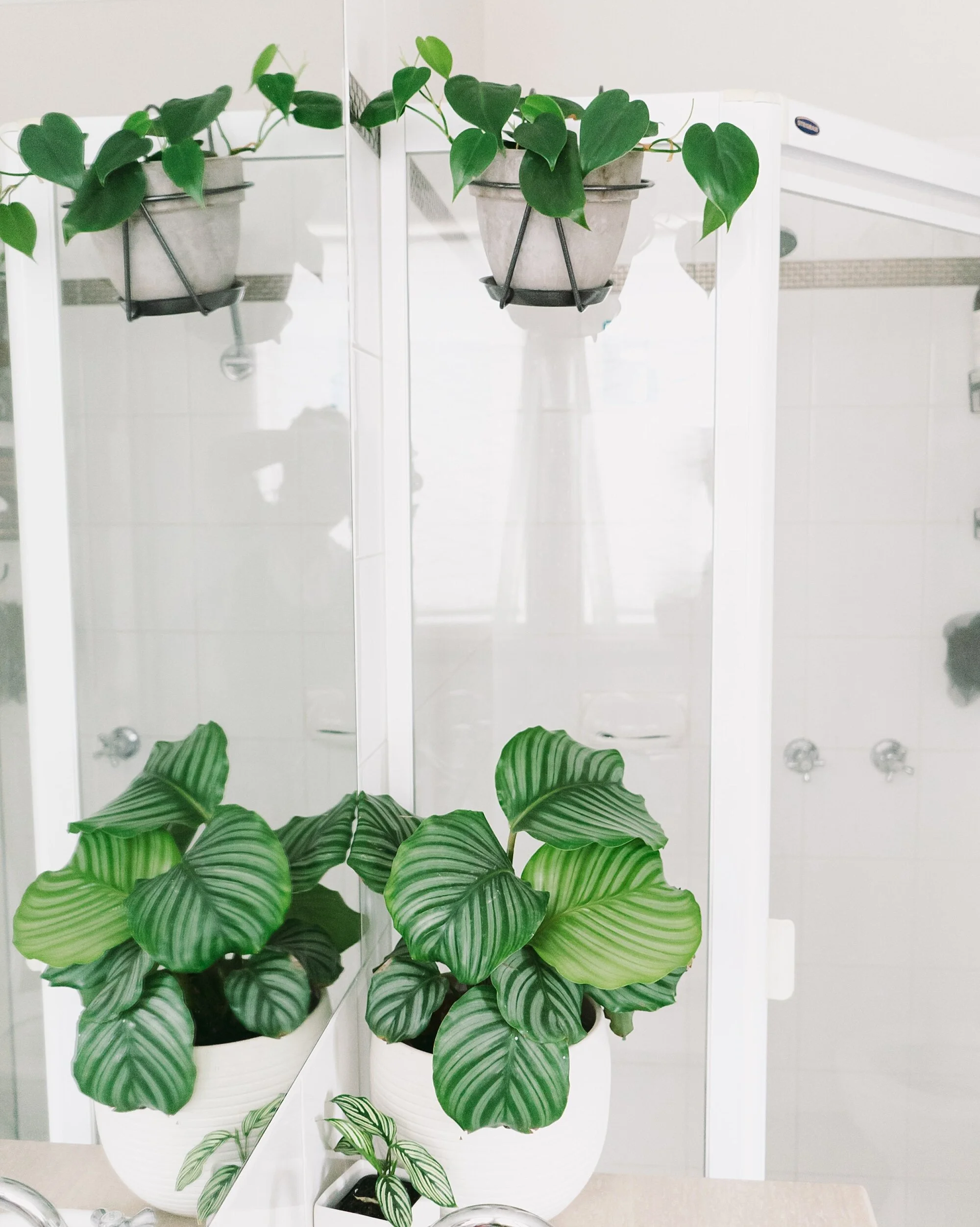  For the first time since I was a kid, I’m living in a home with a window in my bathroom and it is GLORIOUS ♥ 