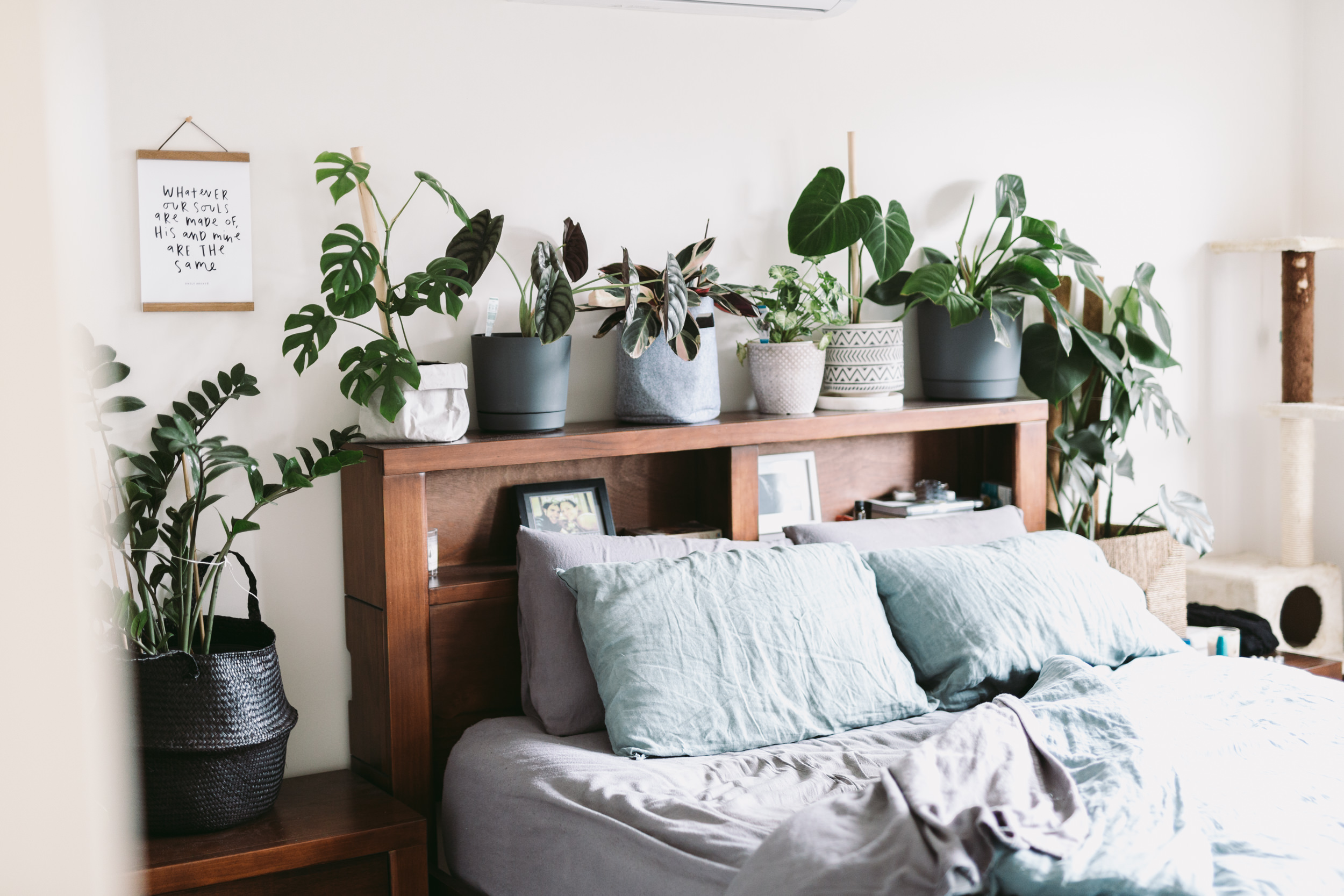 Our first home-versary