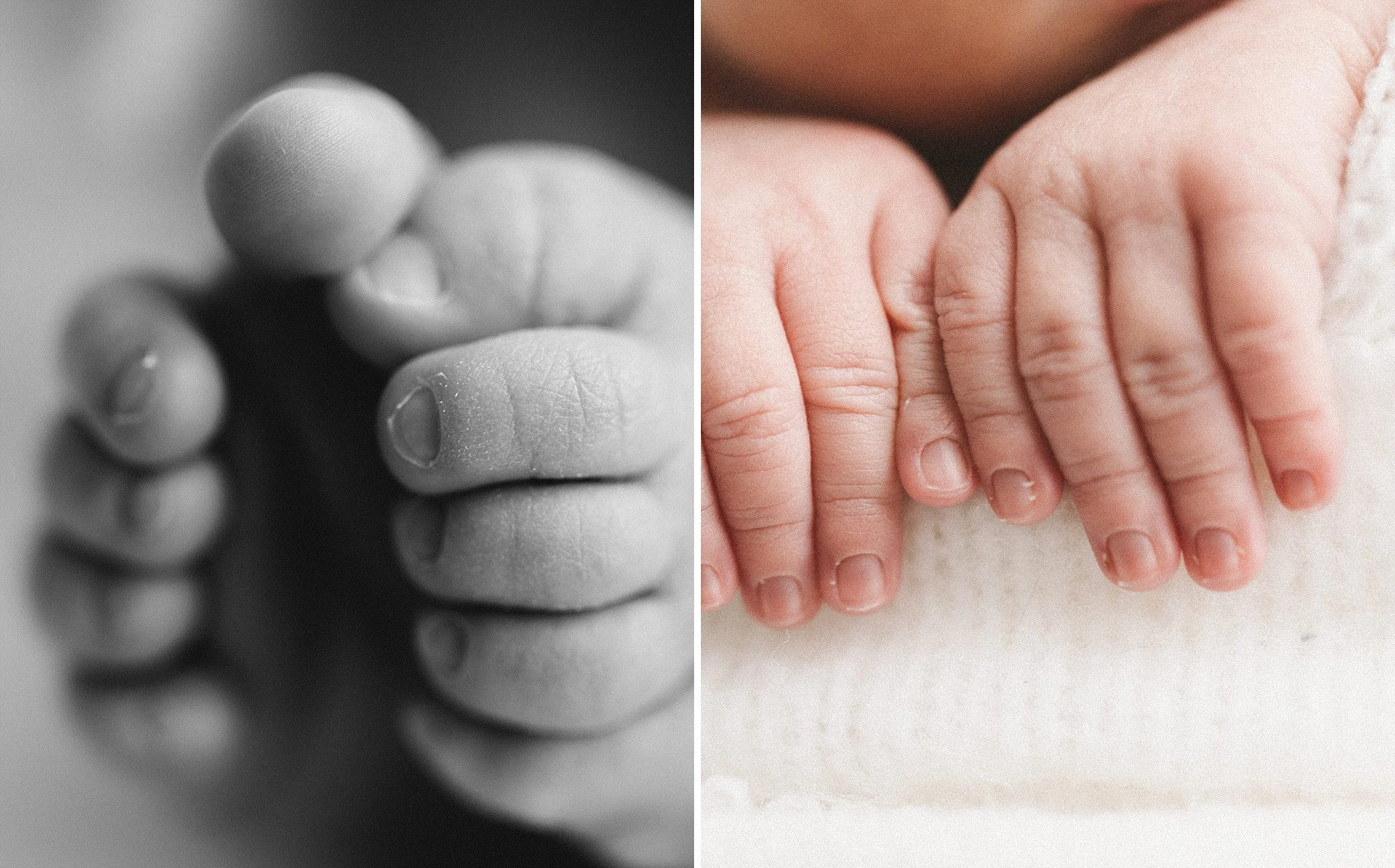 Point Cook Natural Newborn photographer 26.JPG