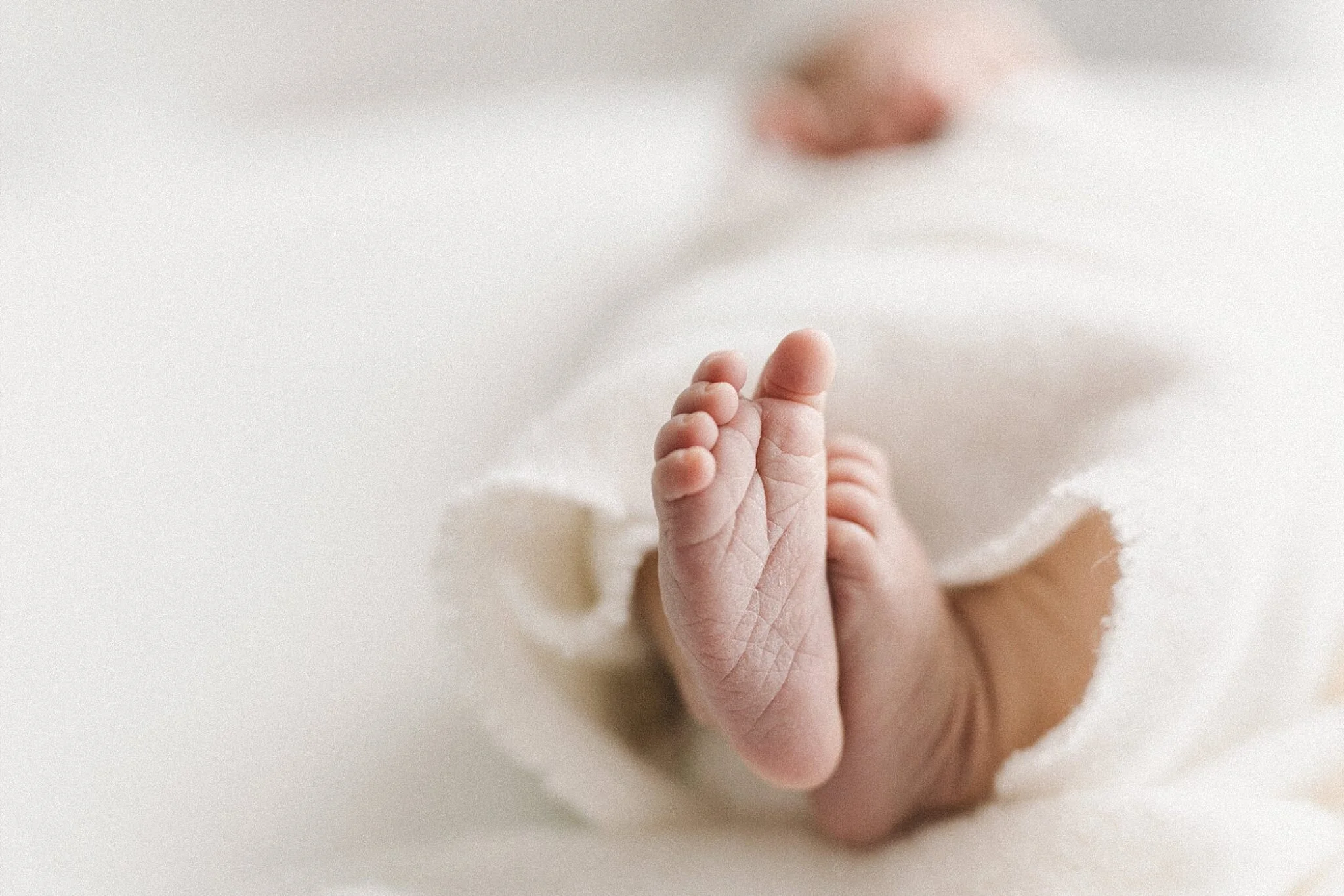 Point Cook Natural Newborn photographer 27.JPG