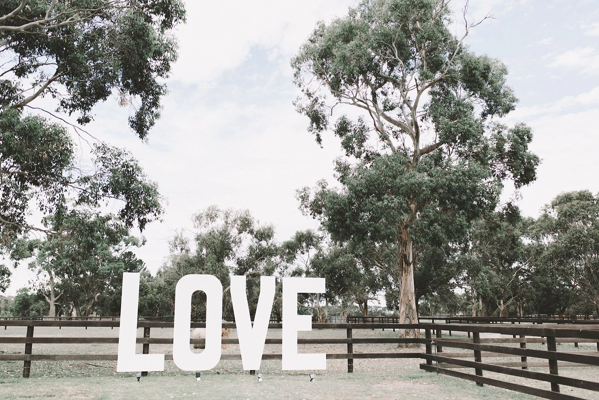 Mornington Peninsula Wedding Photographer 96.JPG