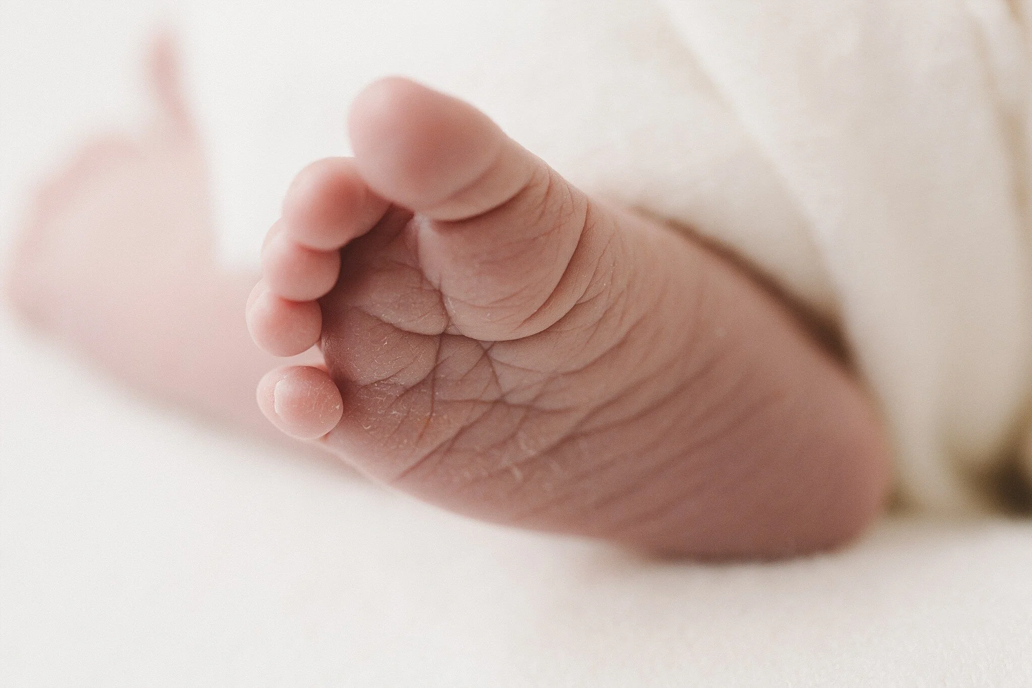 Melbourne Maribyrnong natural Newborn Photographer (0011 of 999).JPG