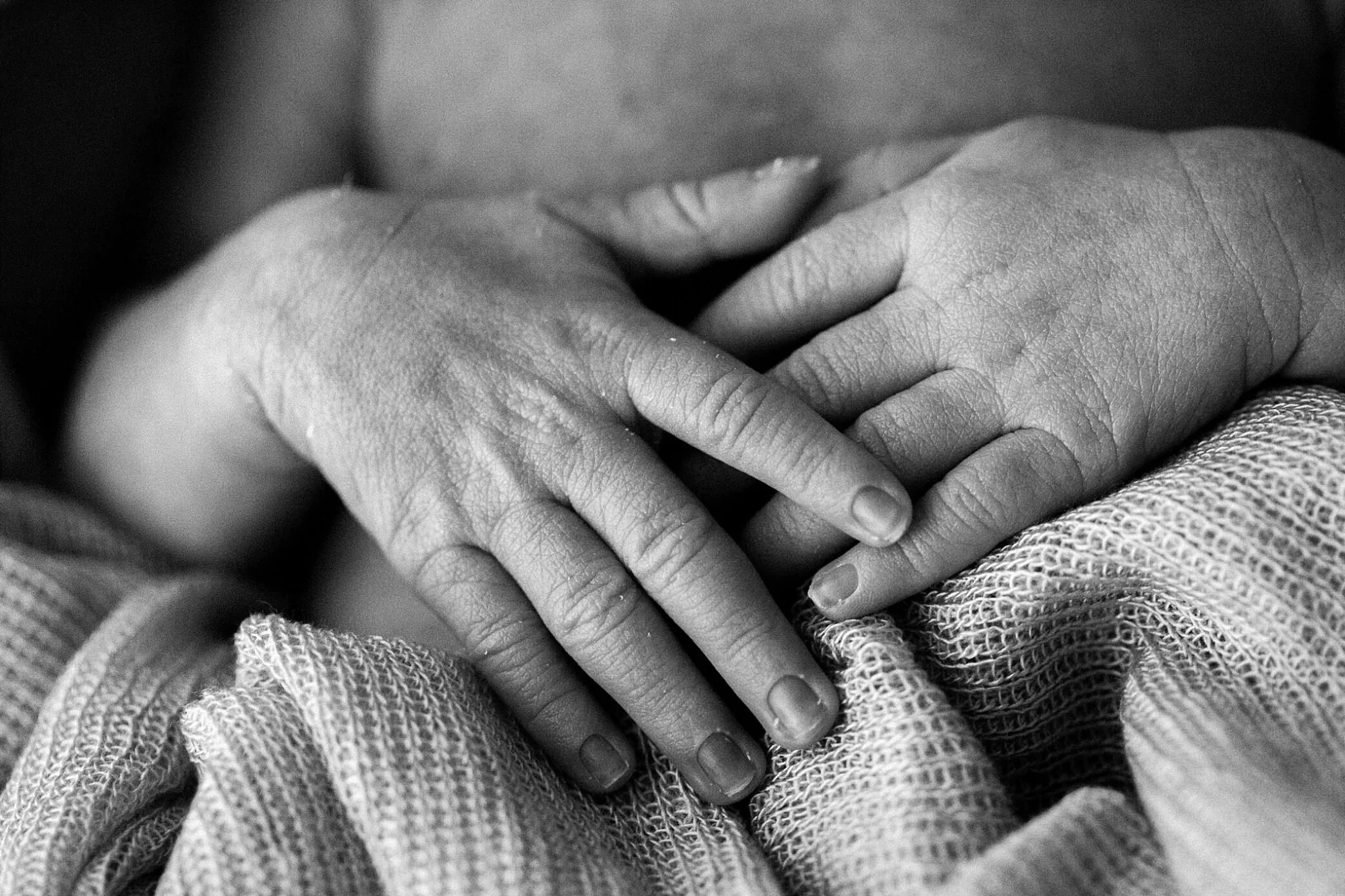 West Melbourne Newborn Photographer 161.JPG