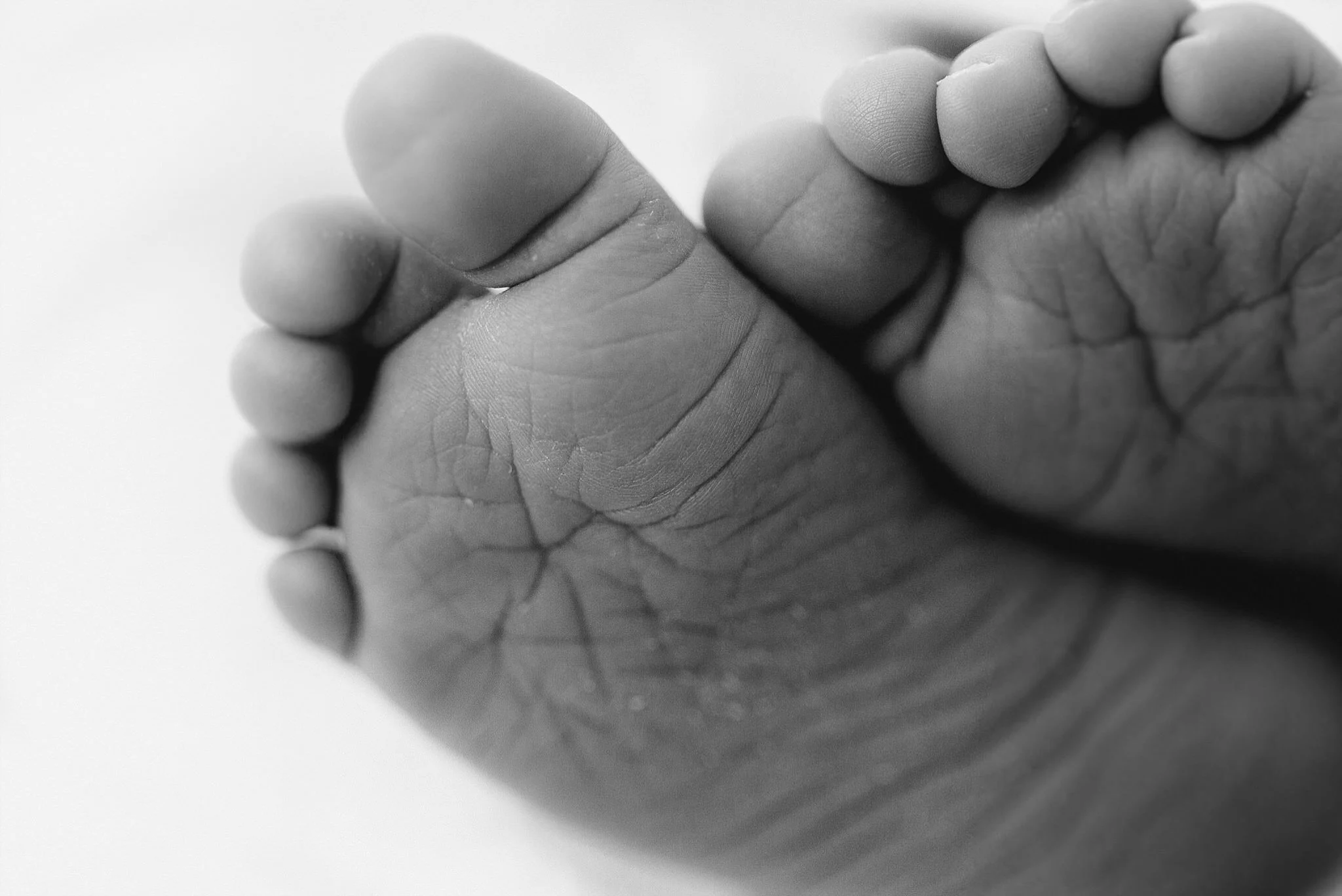 East Melbourne Newborn Photographer_0094.jpg