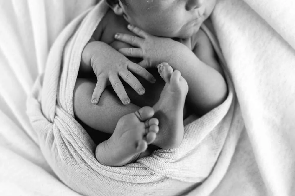Caulfield natural light maternity baby photographer 1272.JPG