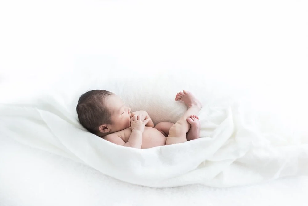 Caulfield natural light maternity baby photographer 1274.JPG