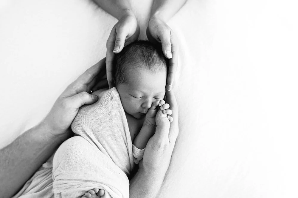 Caulfield natural light maternity baby photographer 1275.JPG