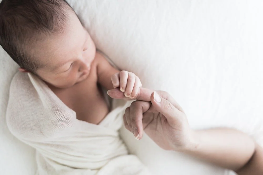 Caulfield natural light maternity baby photographer 1278.JPG