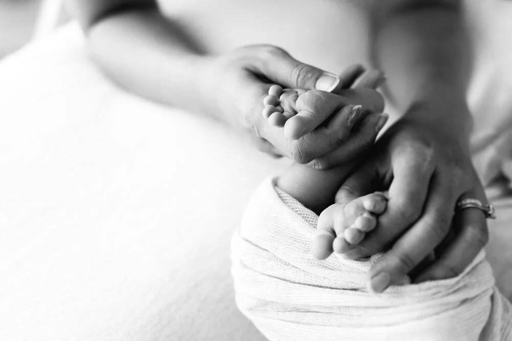 Caulfield natural light maternity baby photographer 1279.JPG