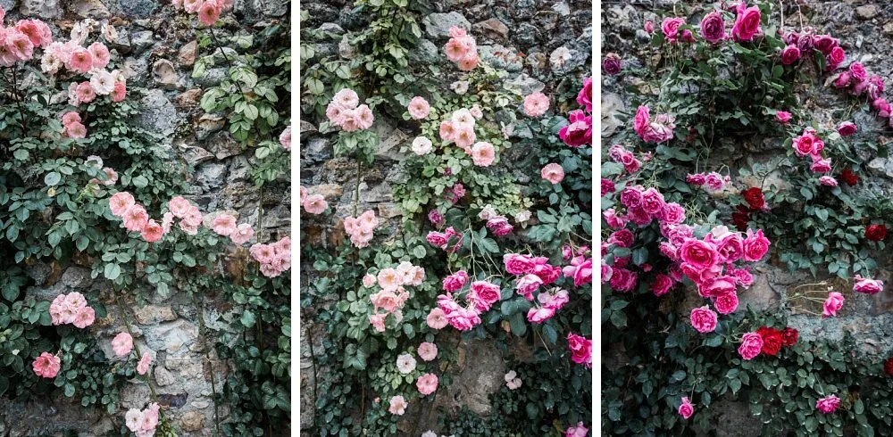 20160611 16-12-36 - Tours, Loire Valley.jpg
